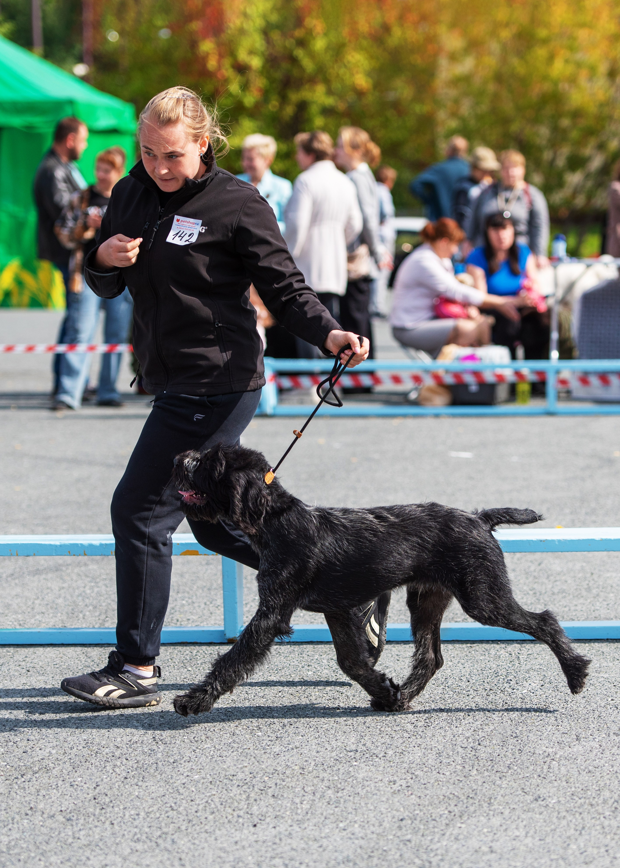 Выставки. Главная
