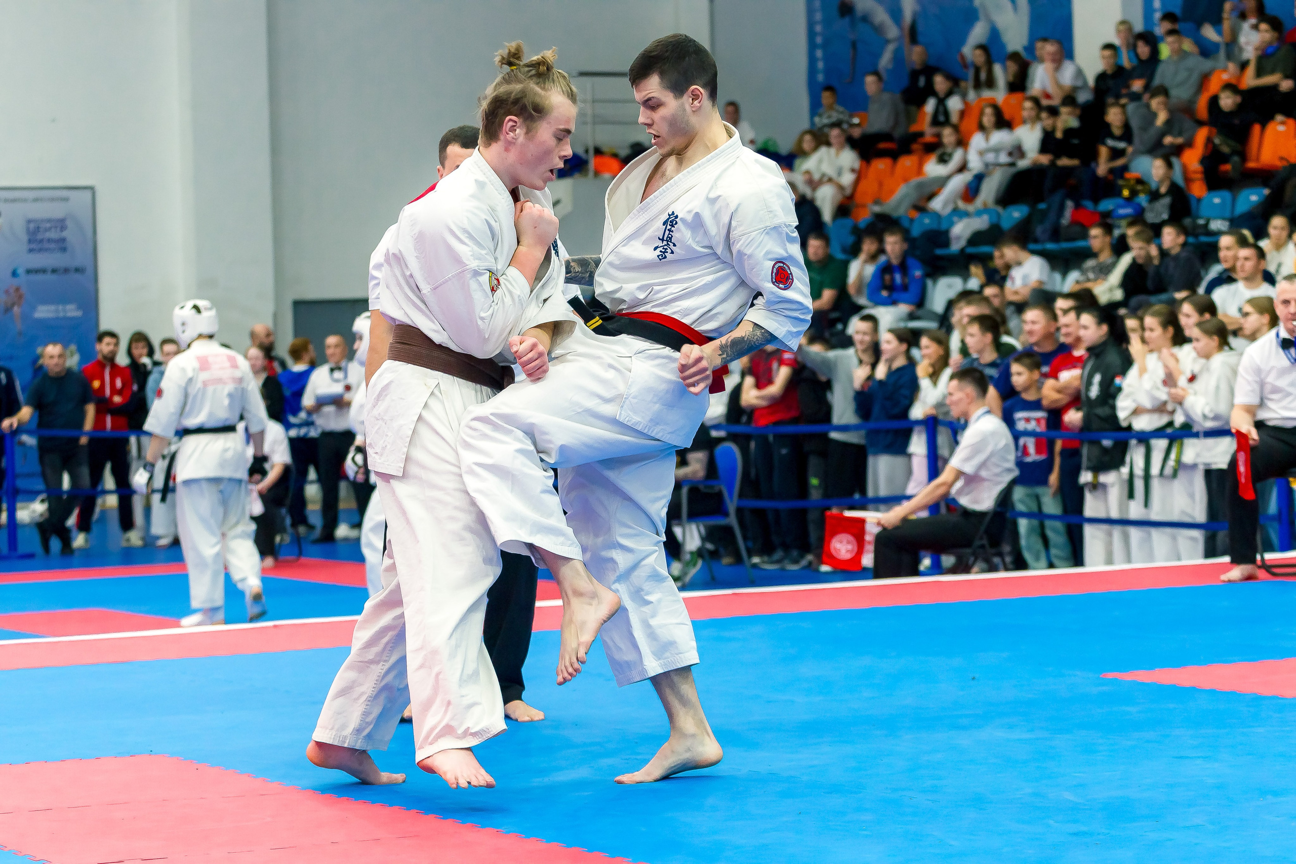 Соревнования по Киокушин памяти С. Увицкого. Репортажная съемка в Москве и области. Анималистика