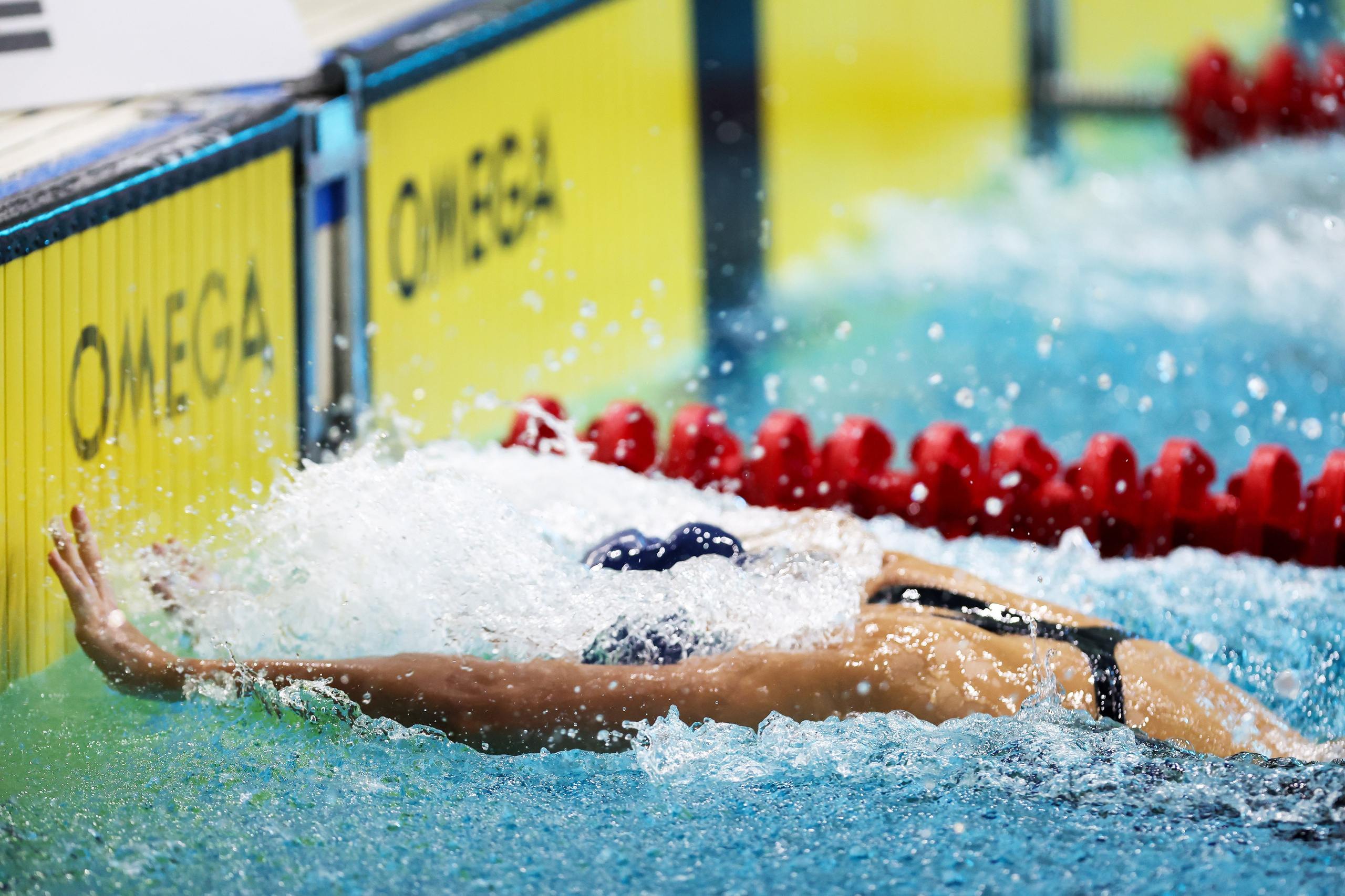 Чемпионат России по плаванию 25 м 20-25.11.2023. Спортивный и репортажный фотограф Антон Тереханов