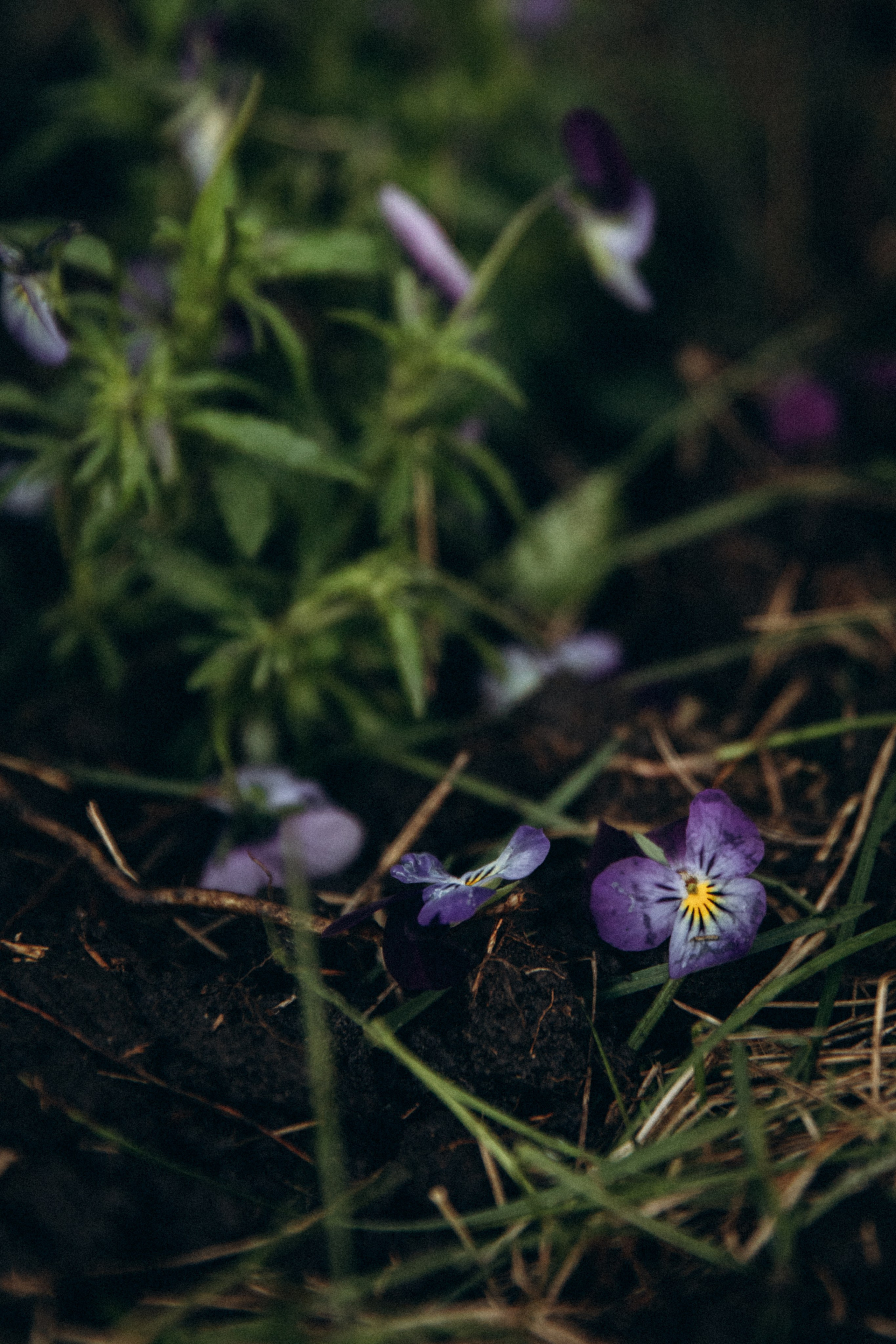 УДачная история. Фотограф  Челябинск Варвара Шарапова