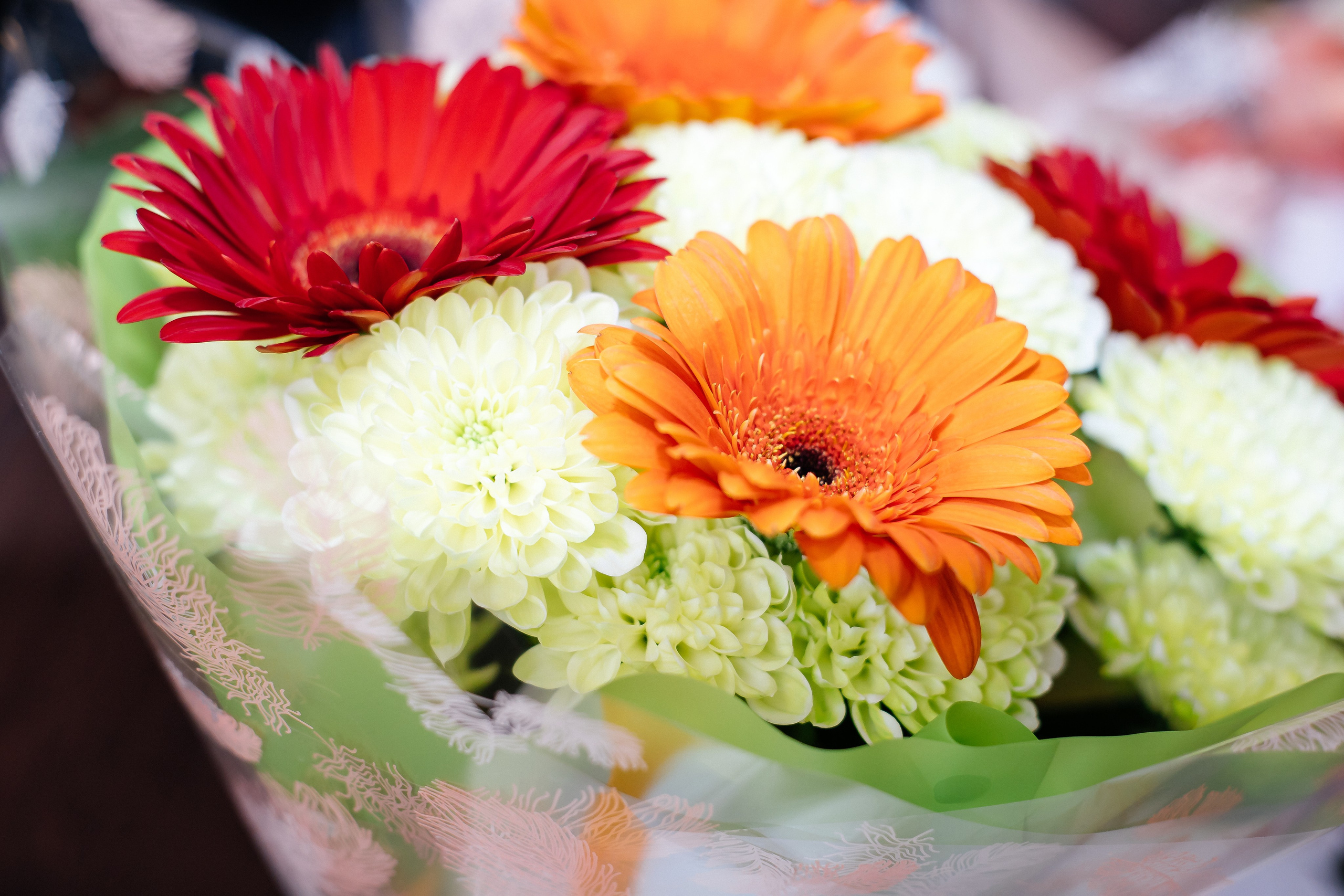 Юбилей 70. Фотограф в Иркутске