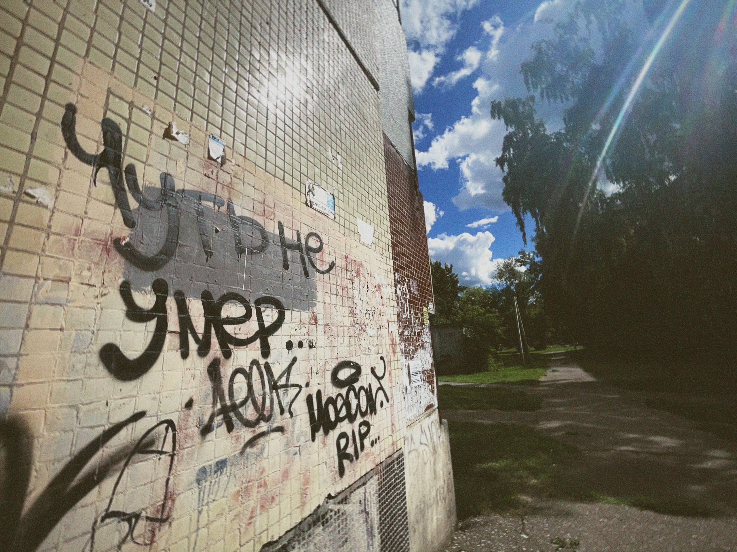 Street Caps. Alina Panover