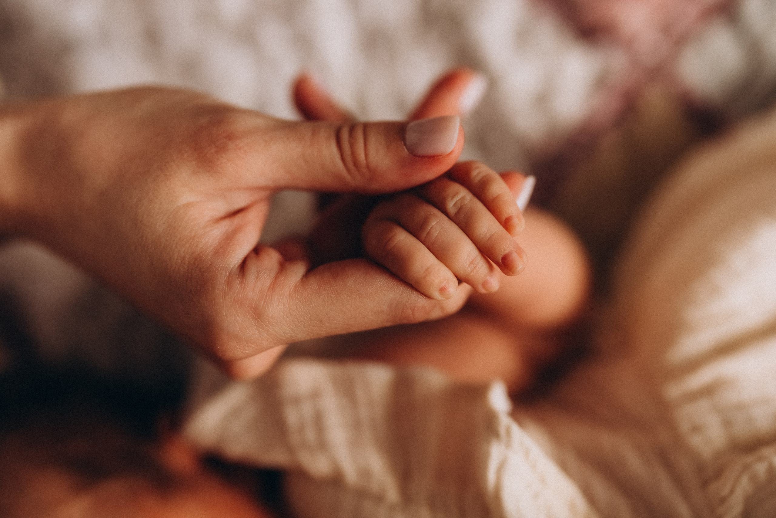 Василиса. Евгения Пелипас