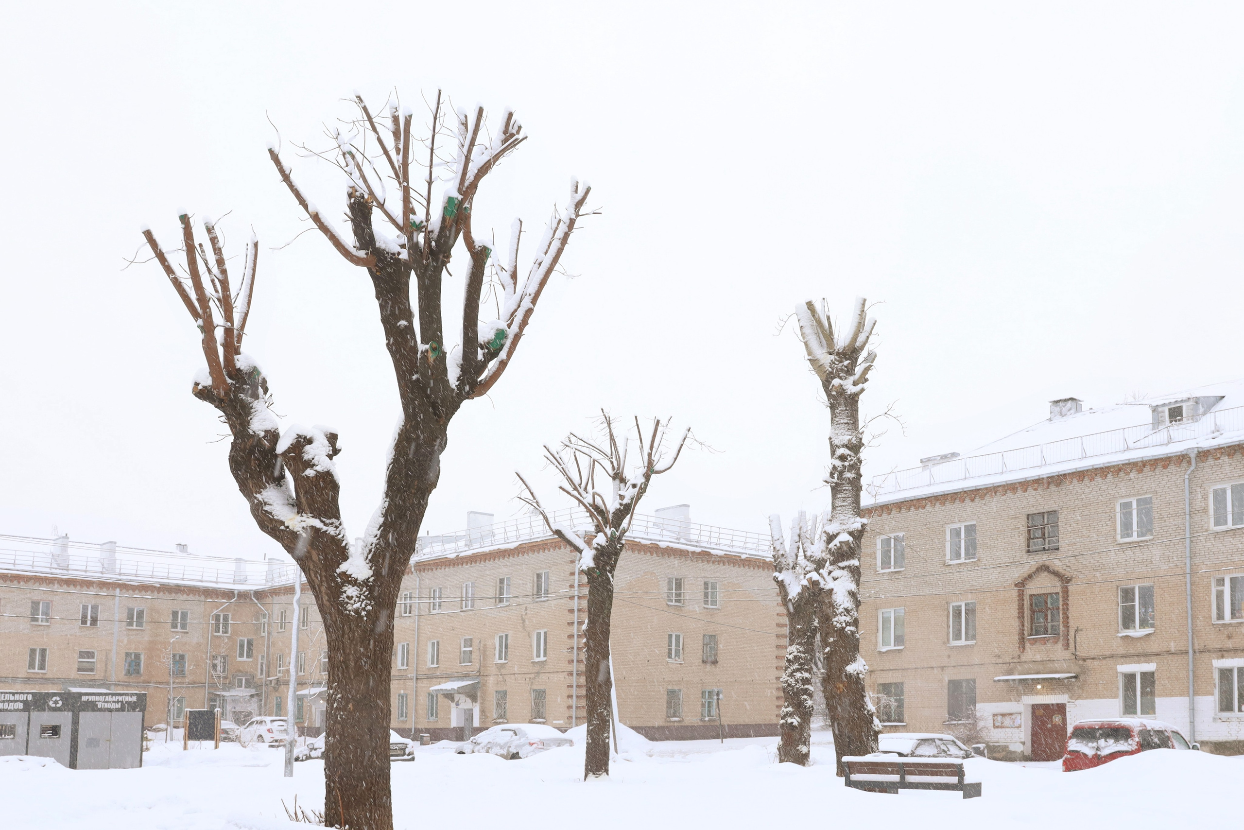 Кронирование. Главная