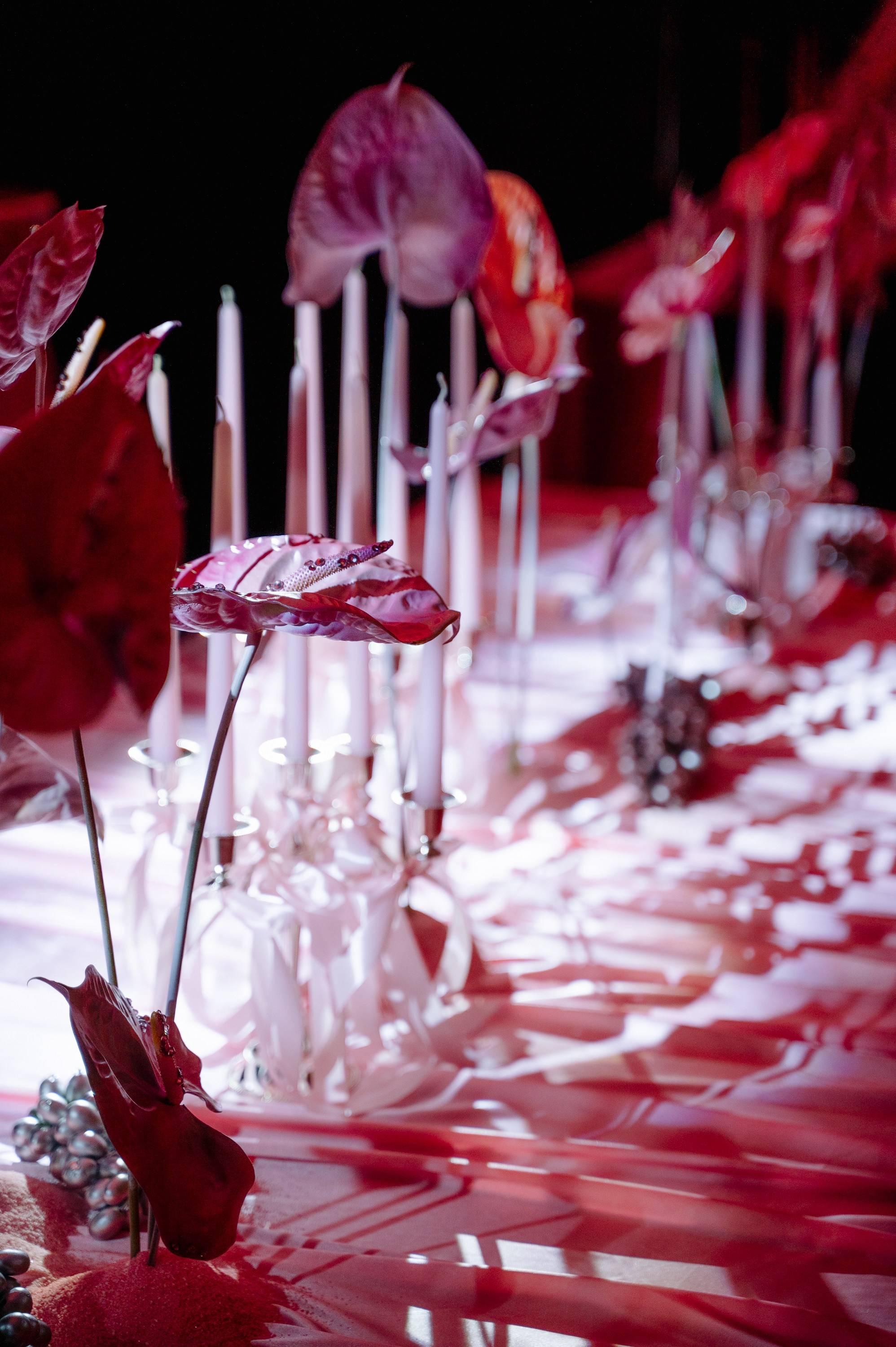 Katrinka family | День рождения. Фотограф Вито Бурмасов | Москва