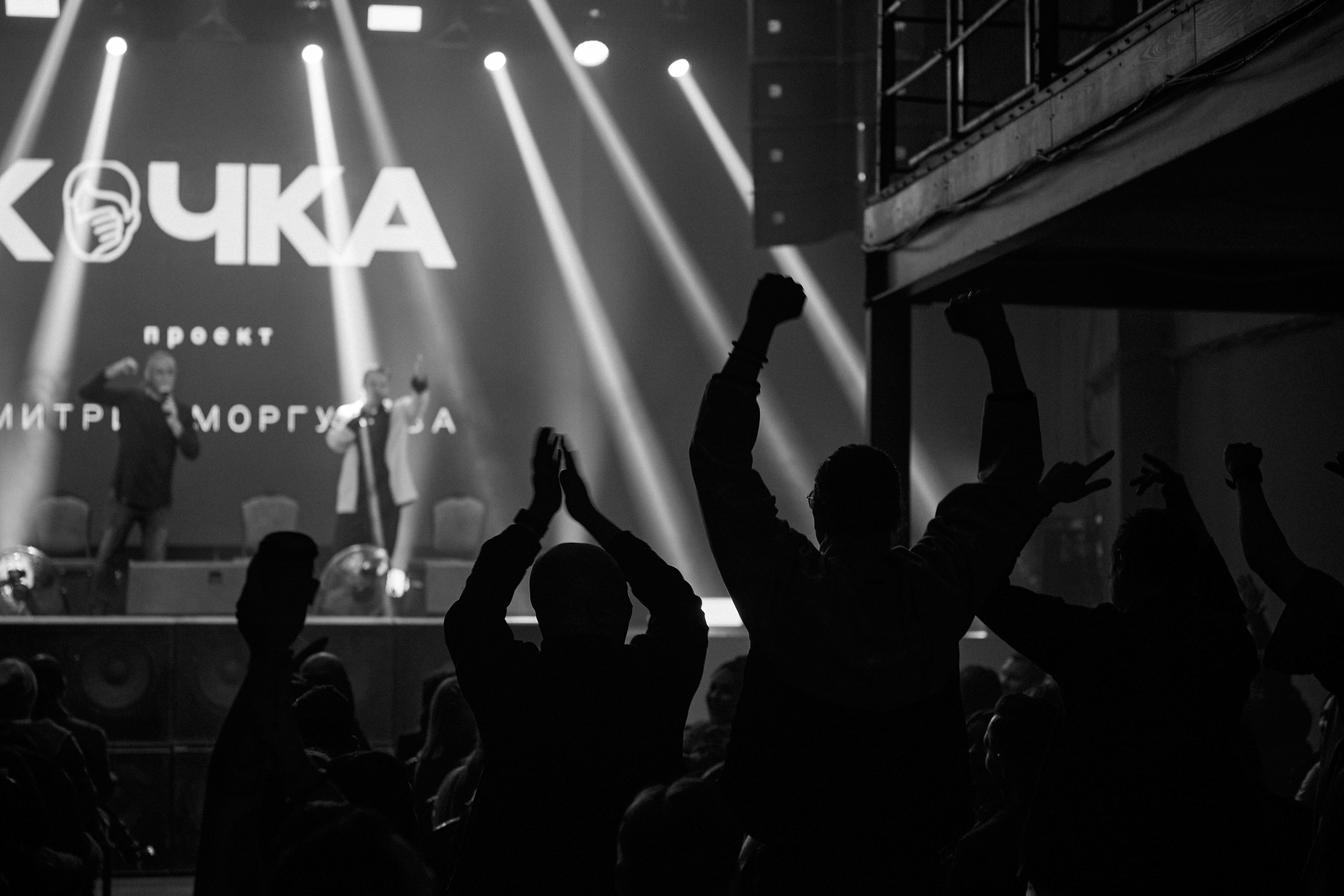 КОЧКА. Фотограф Айвазова Наталья Краснодар