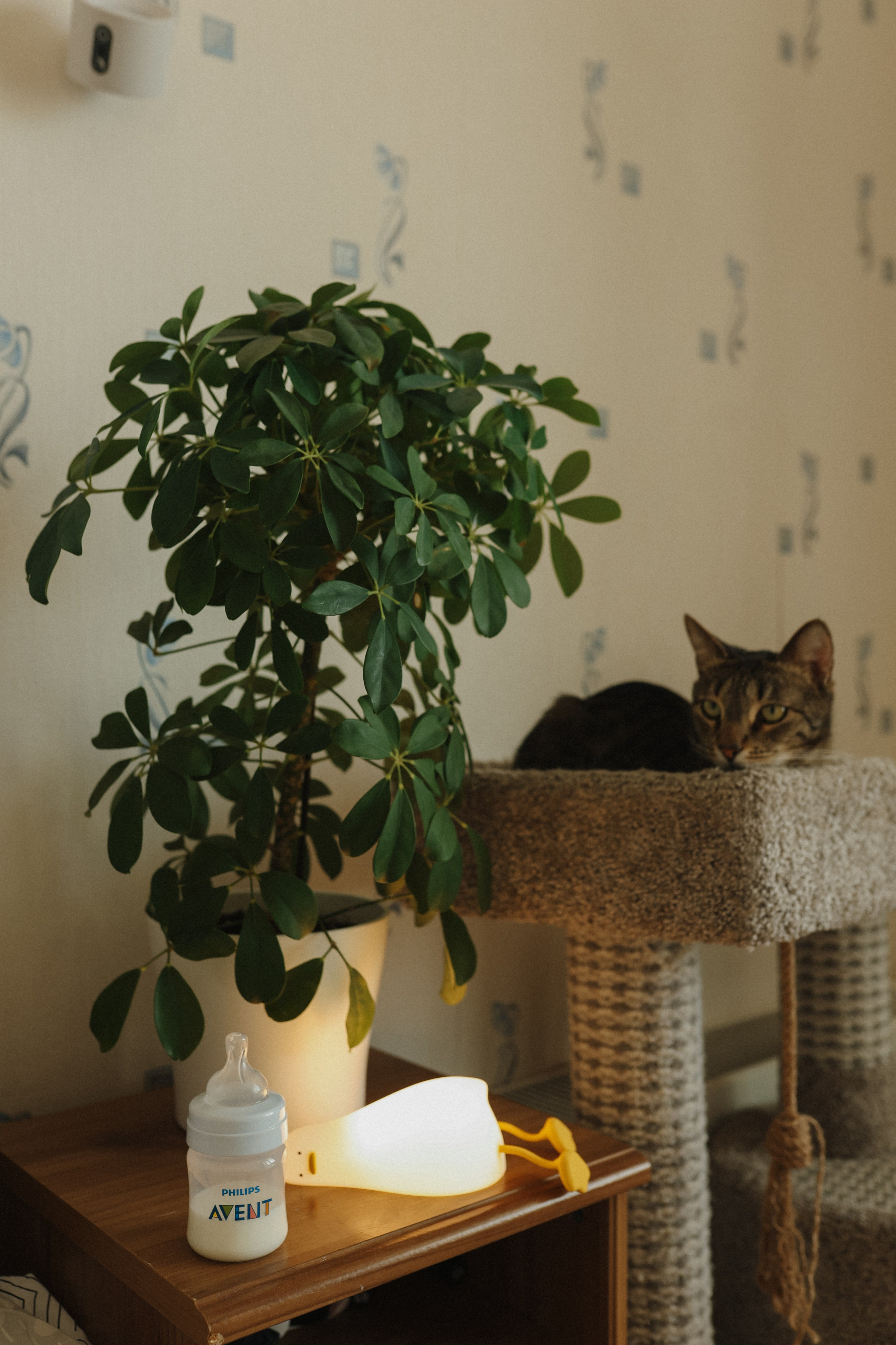 Леша🤍. Фотограф на роды в Санкт-Петербурге, семейный, нью-борн Алиса Хрекова