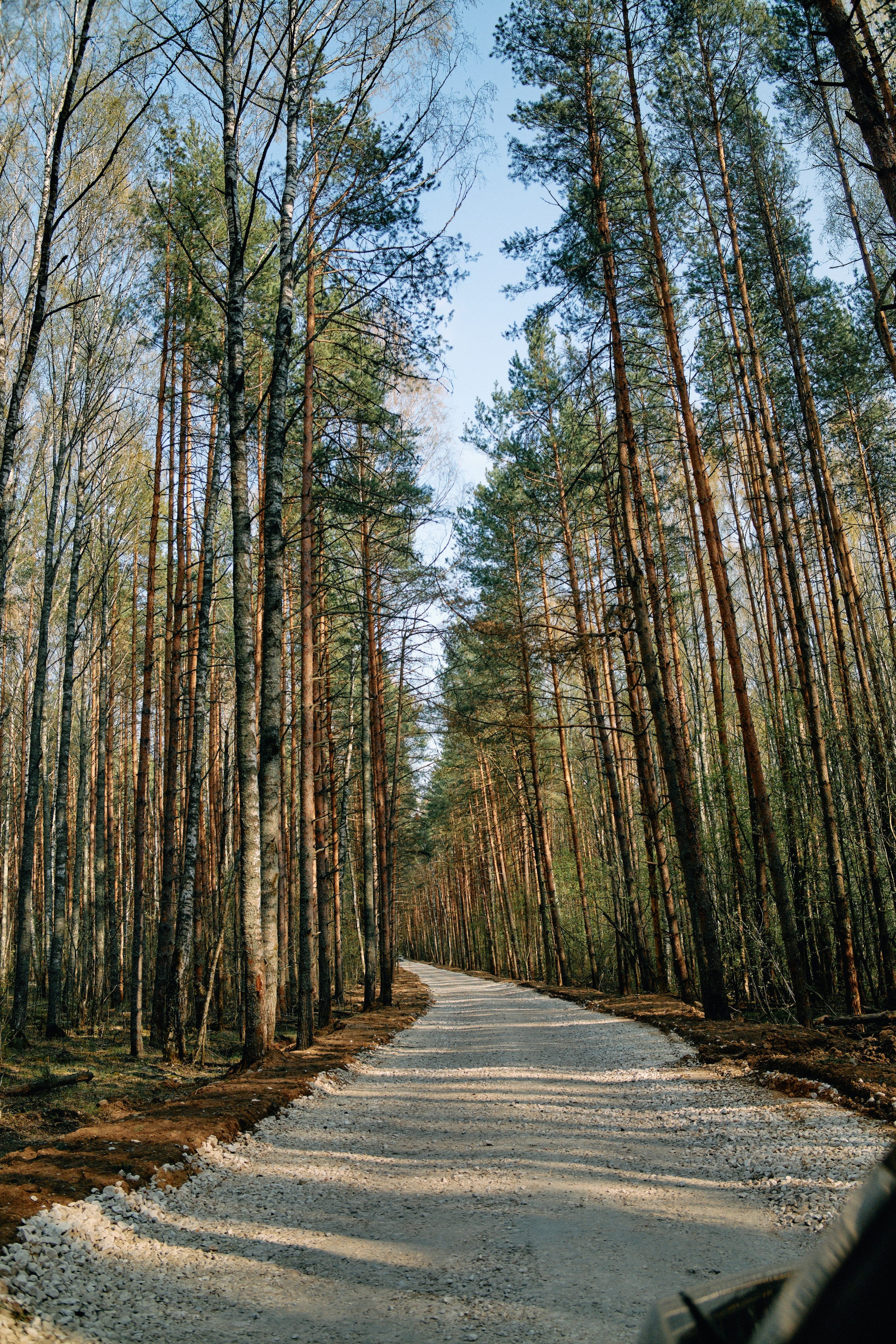 Бутик-отель Поле летом. Профессиональный Фотограф во Владимире, в Москве и в Суздале — Полина Романычева