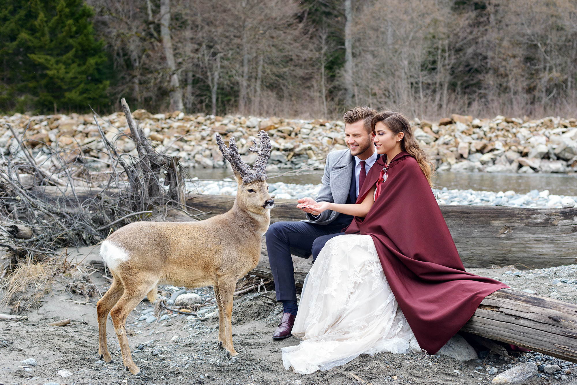 Свадебная фотосъемка с оленем