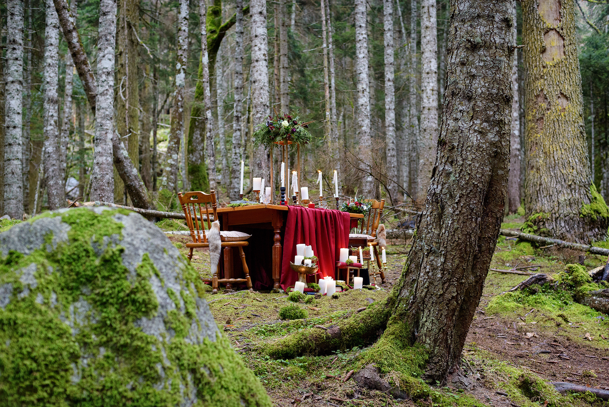 Свадебная церемония в лесу