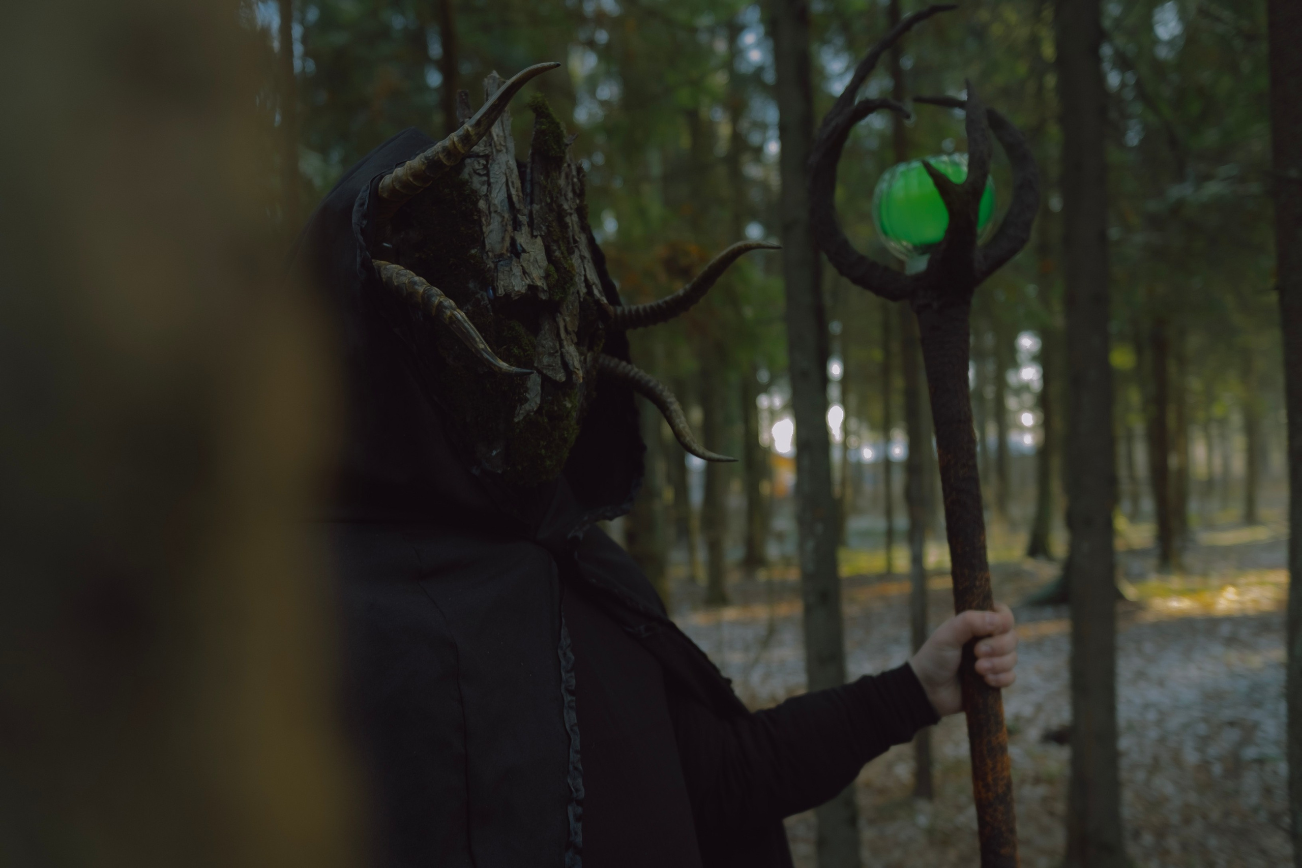 «Дух леса». Фотограф (Москва, Мытищи)— Комова Анастасия