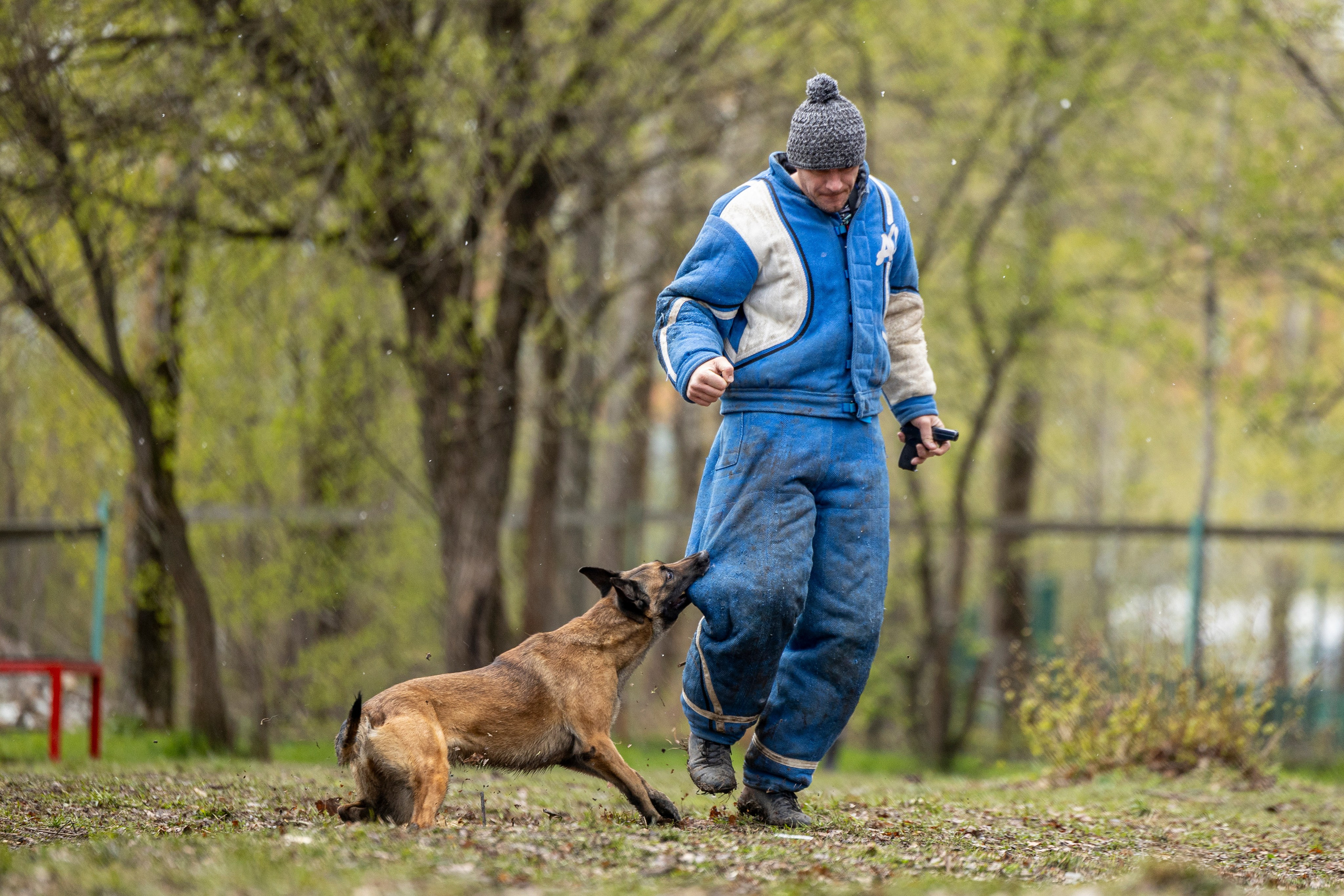 Квалификационные состязания по мондьорингу г. Вологда 11.05.24. Фотограф-анималист Анна Маринич
