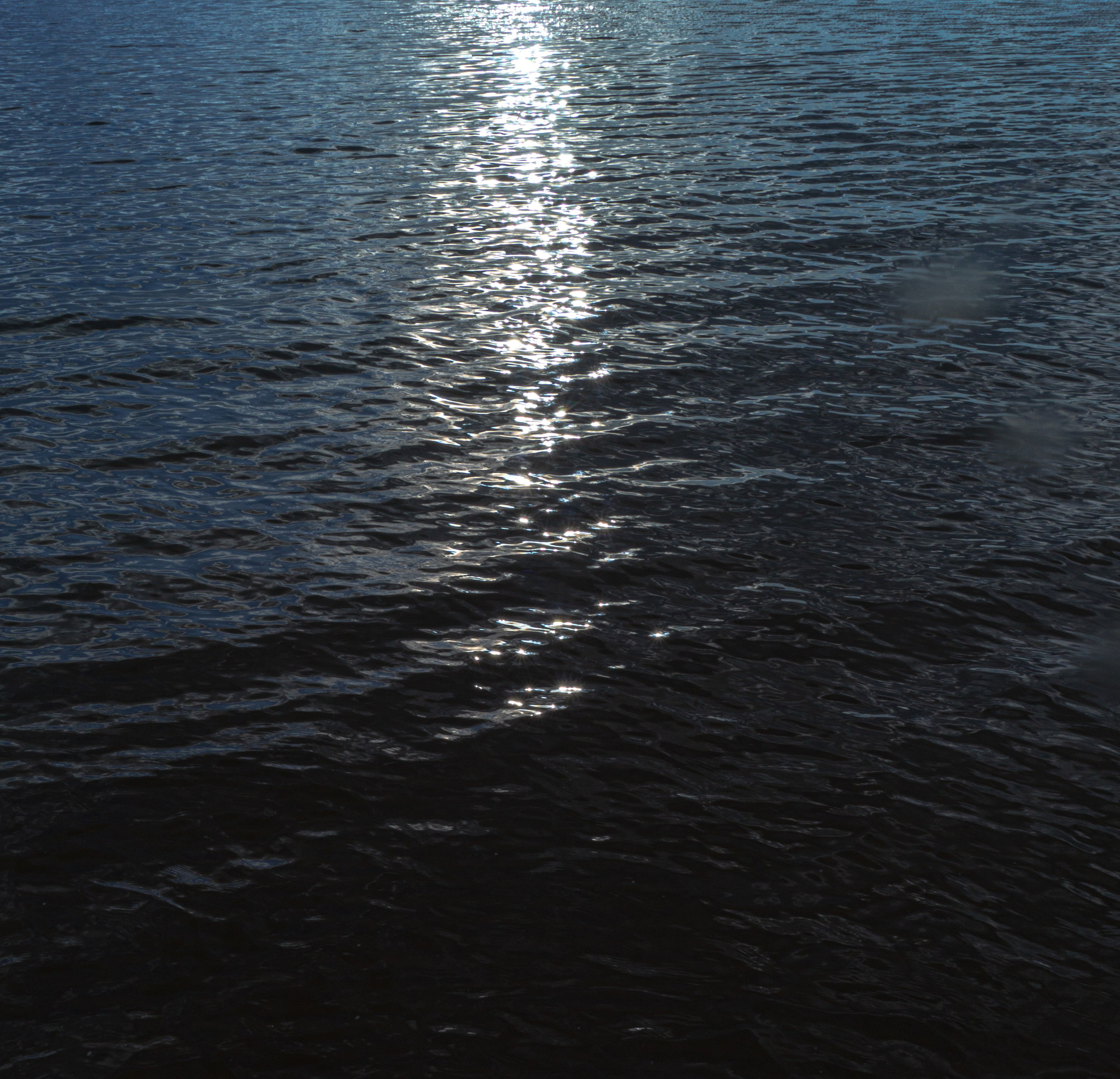 дачи, город, архитектура, стрит, репортажная фотография, фотография, Хабаровск, фотосессия, фотограф, дом, новостройка, улицы, жизнь города, town, art, photo, photographer, photo, Khabarovsk, Far East, street photo, природа, Дальний Восток, тайга, цветы, закат, небо, облака, nature, clouds, forest, flower, sunset