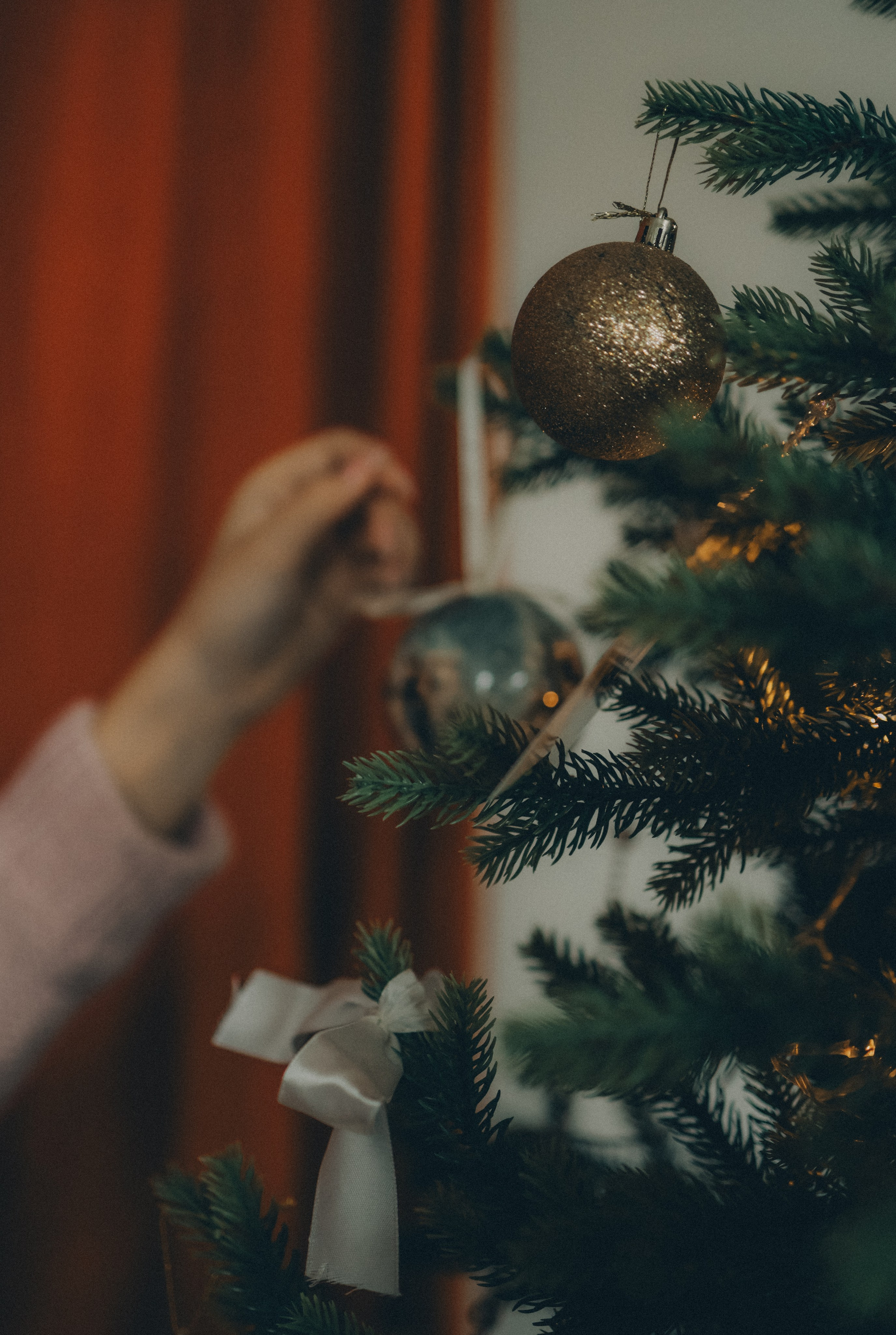 Адиса 🎄. Фотограф Улан-Удэ
