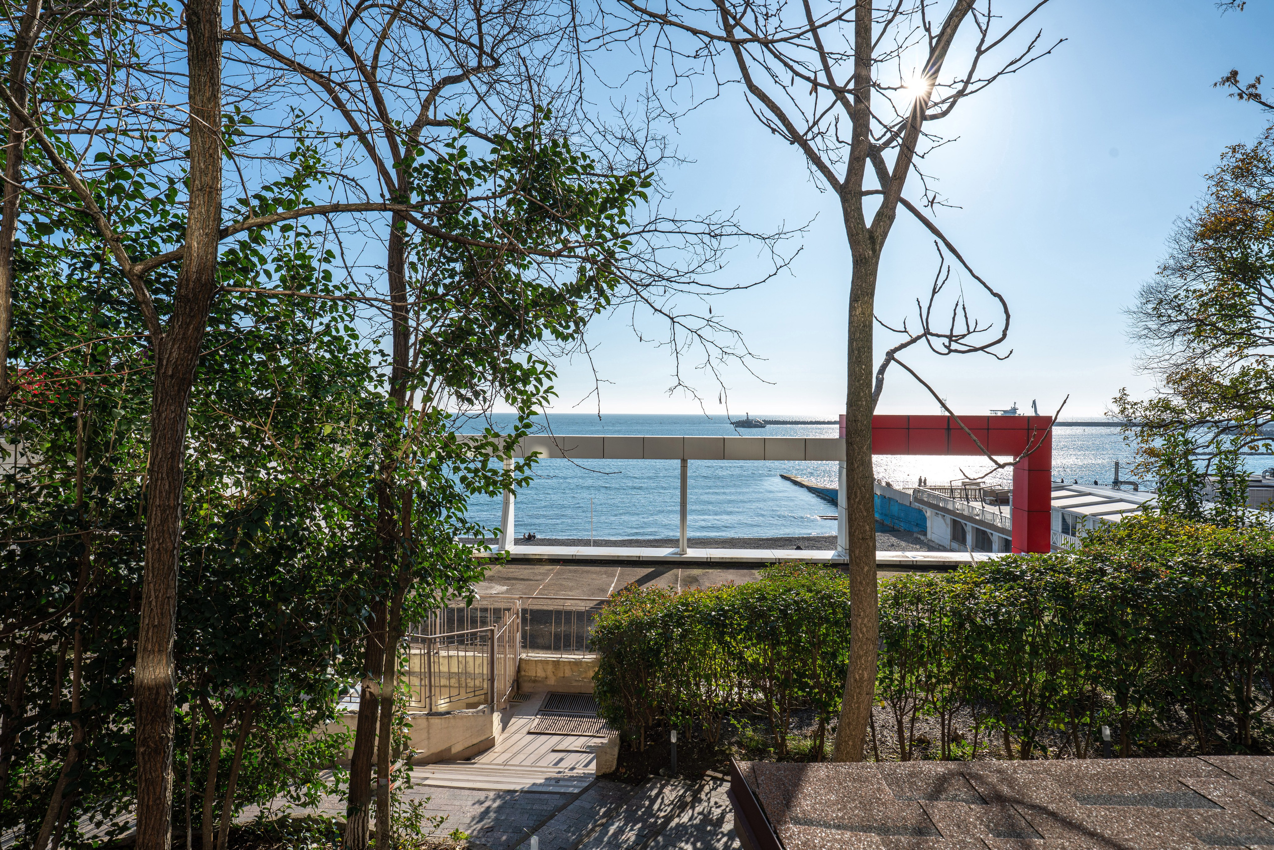 24032026. Фотограф Сочи