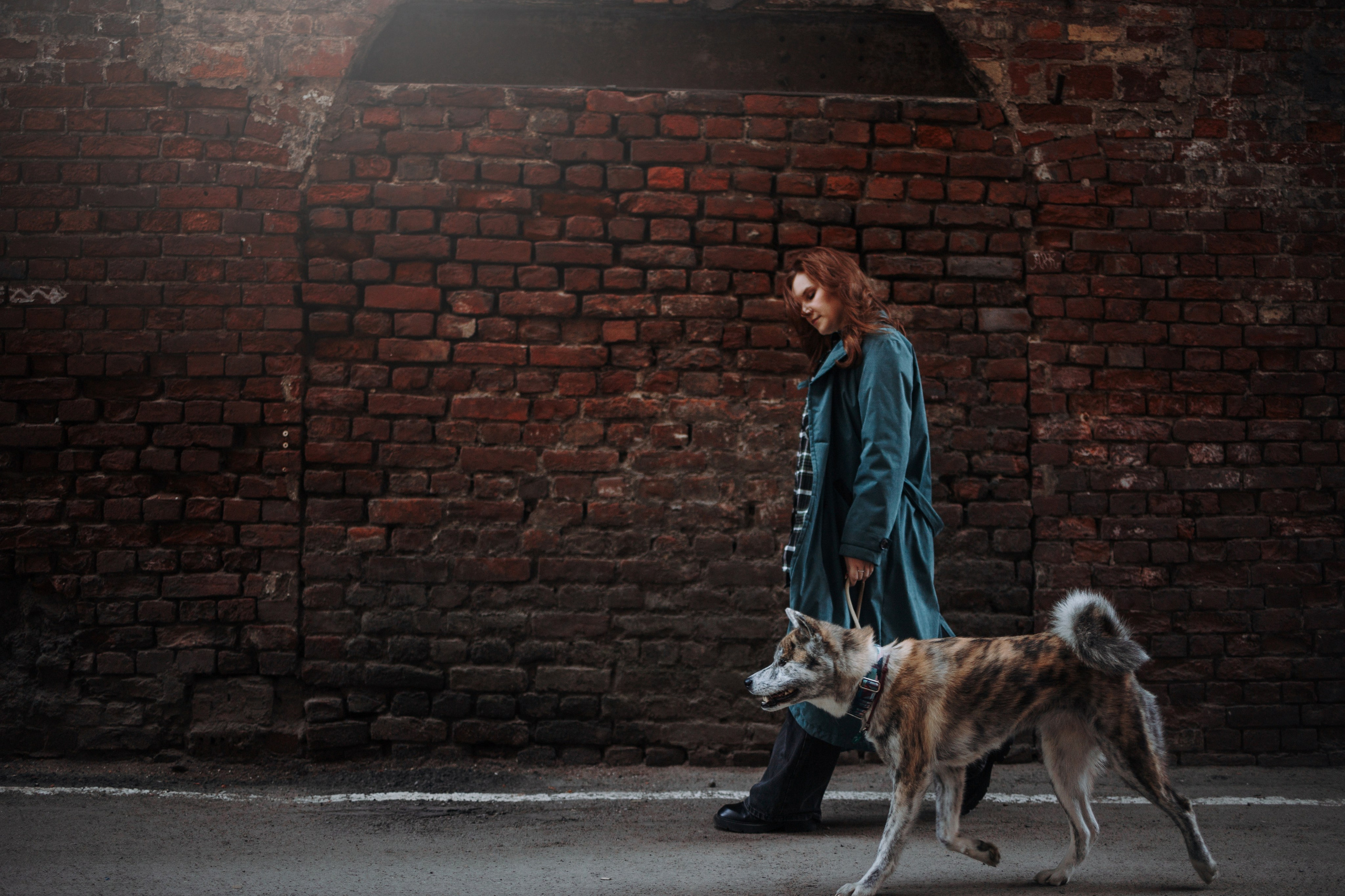 Настя и Айри. Фотограф — Анималист | Санкт-Петербург