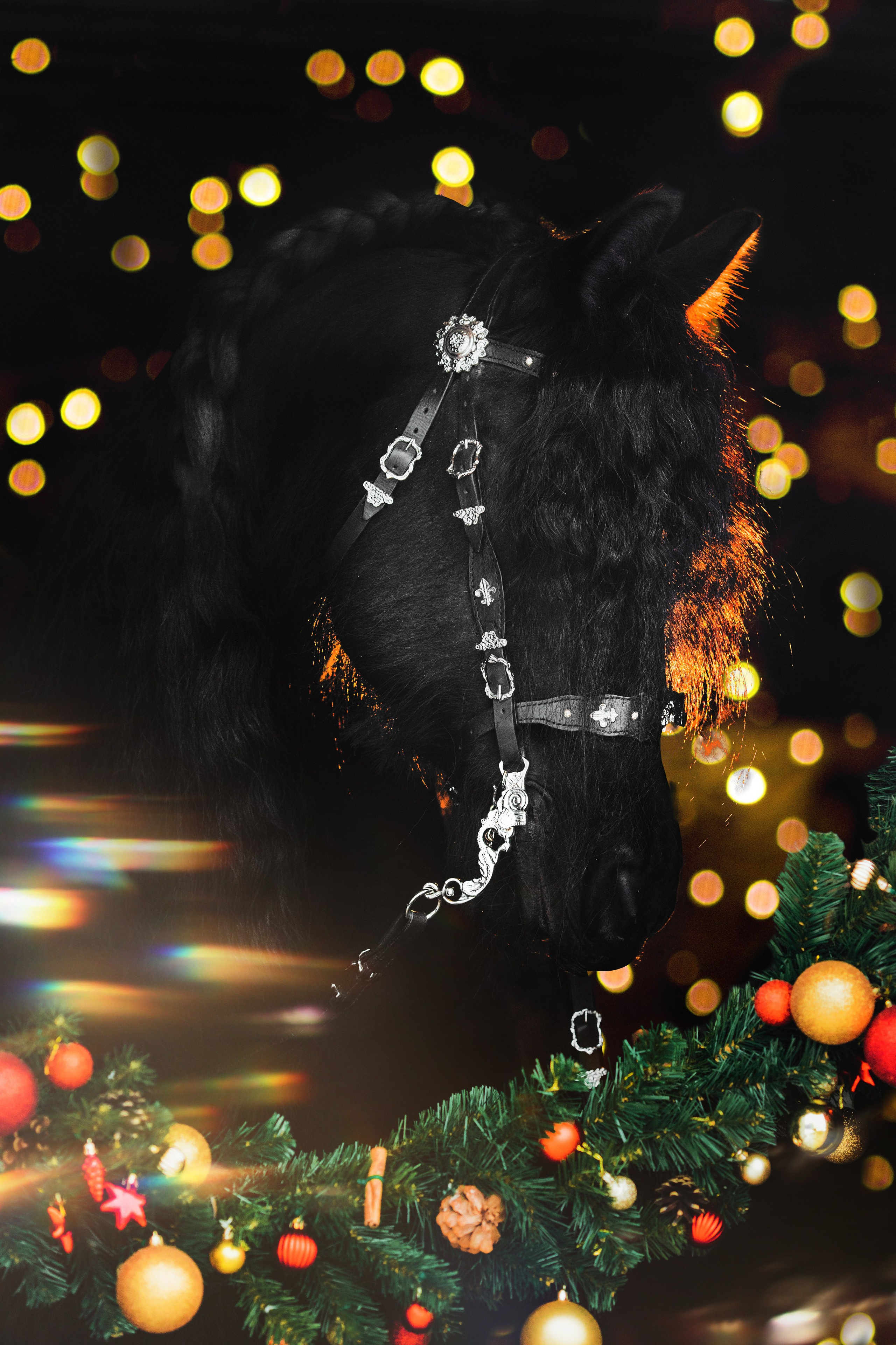 Анималистика. Главная