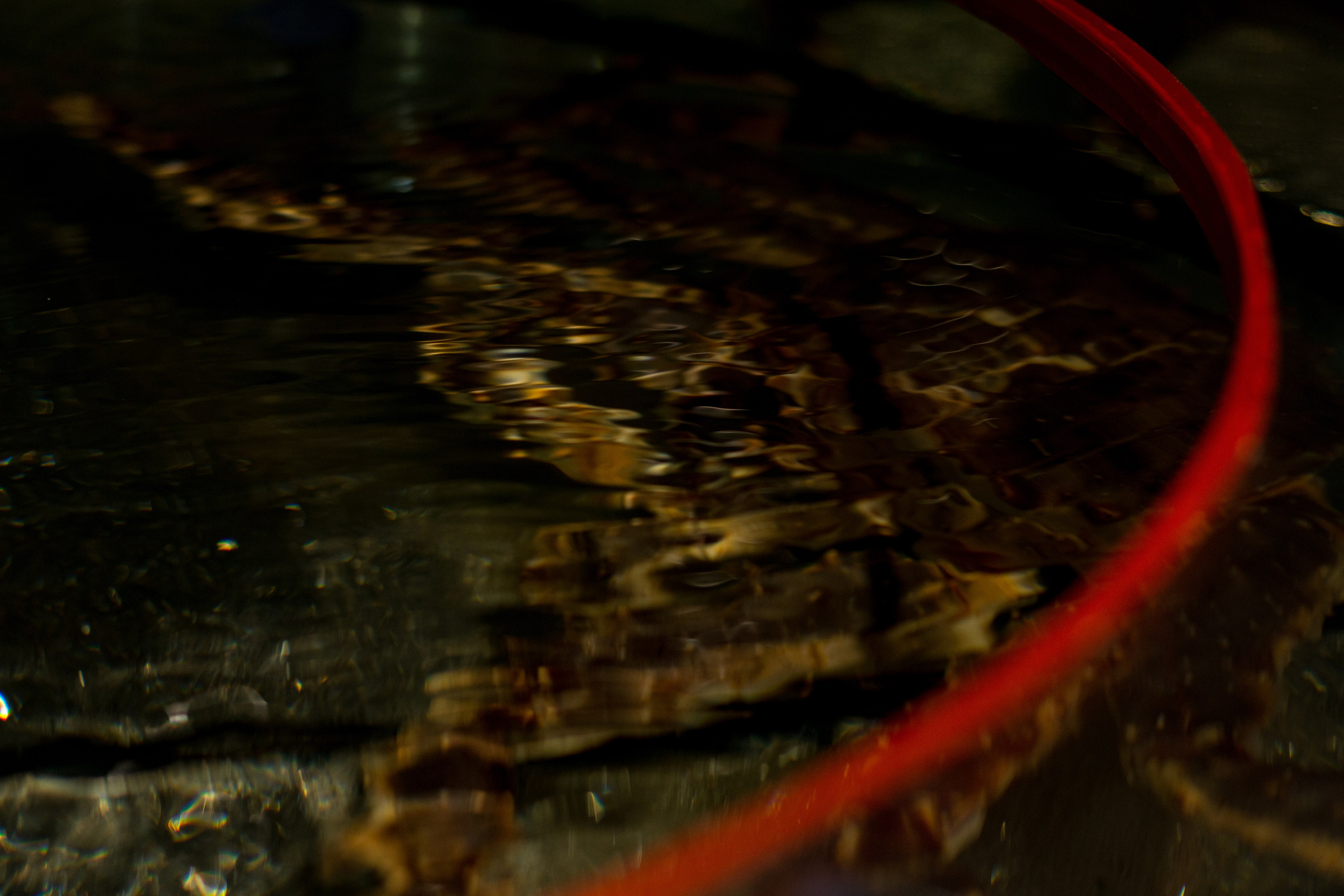 Москва. Фотограф в Сочи