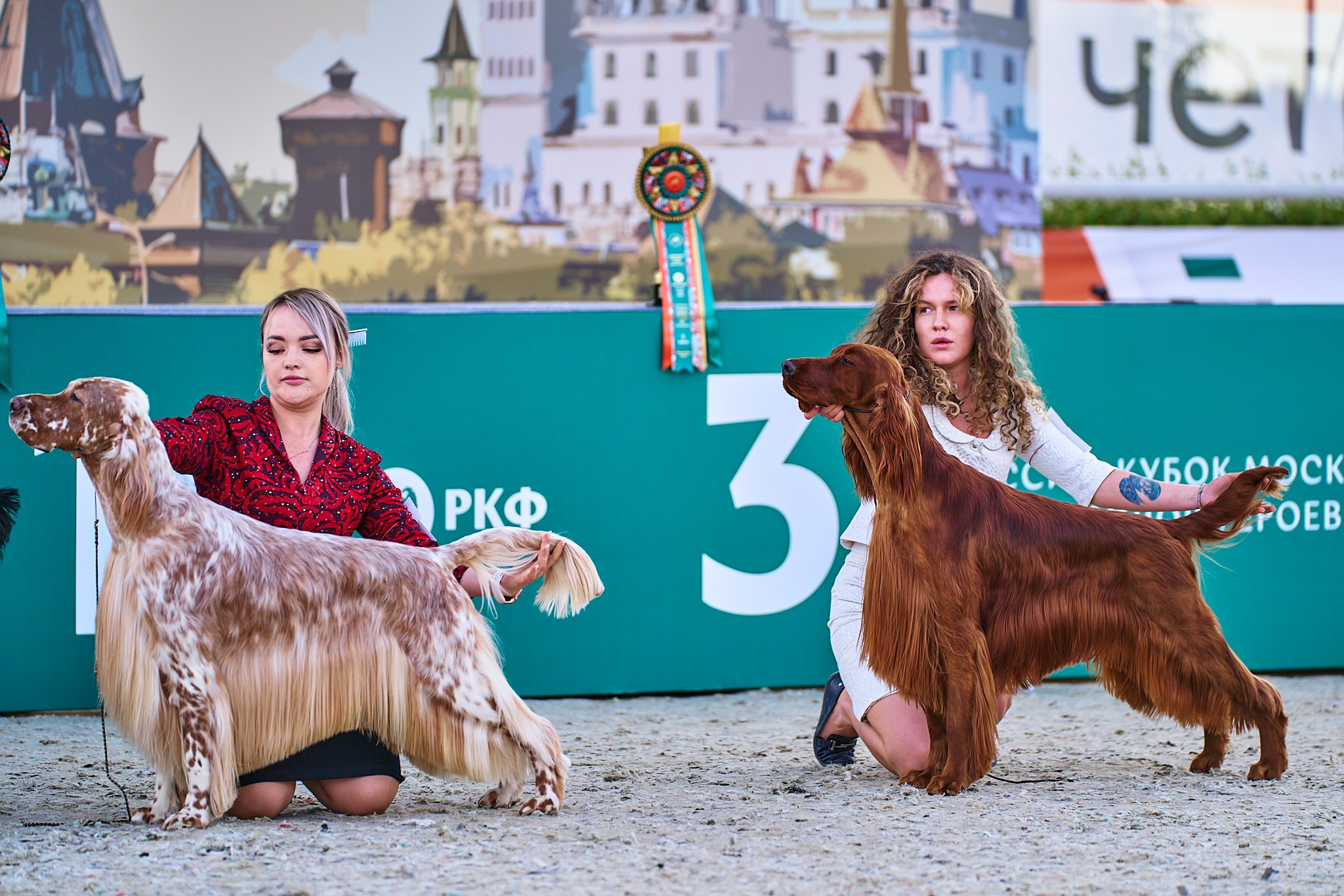 08.06.2024 «РОССИЯ. КУБОК РКФ 2024»