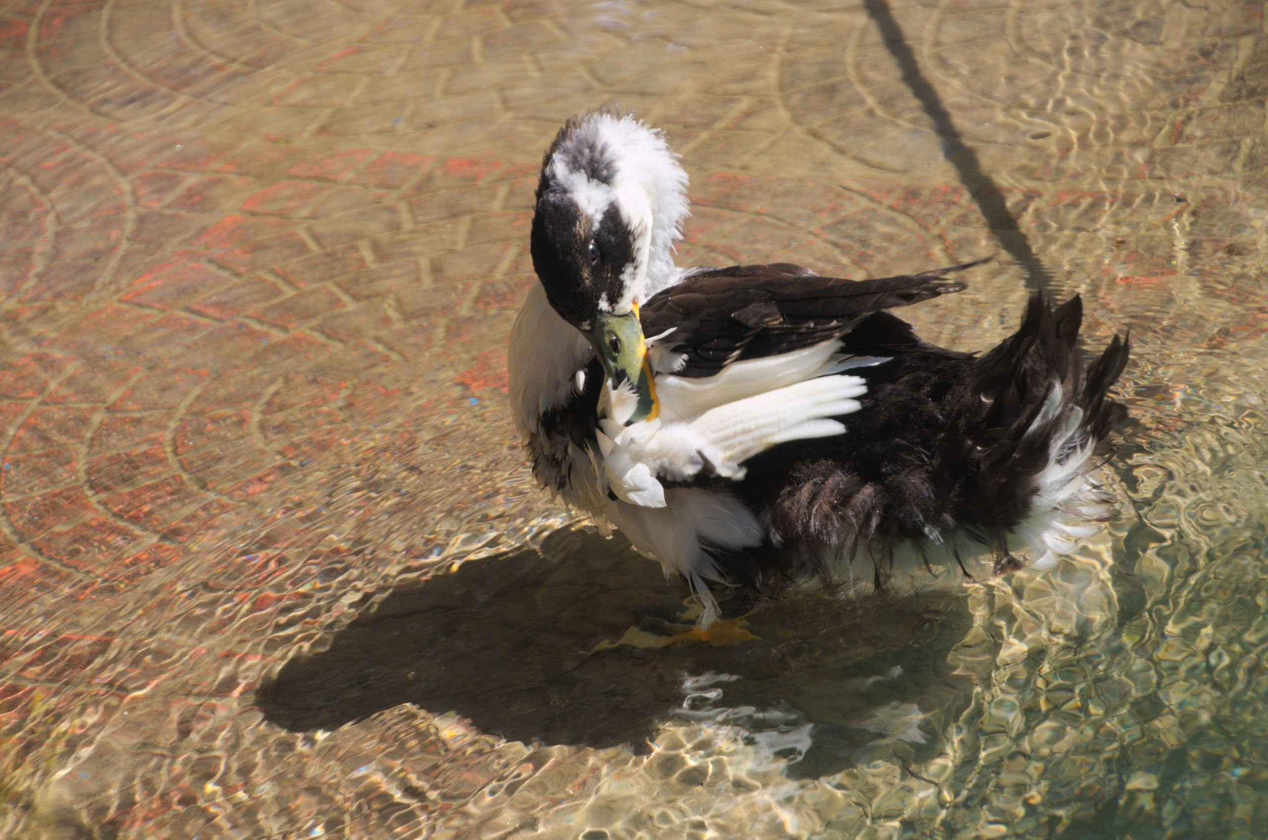 Турция | 03-10.09.2017. Галерея Фантим