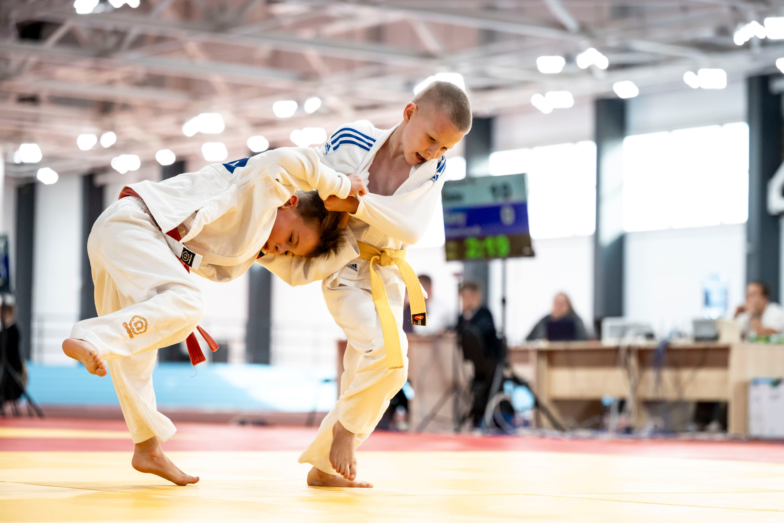 Турнир дзюдо. Тульский левша. Ноябрь, 2025. Спортивный фотограф в Туле и Тульской области. Файсханова Фото Спорт