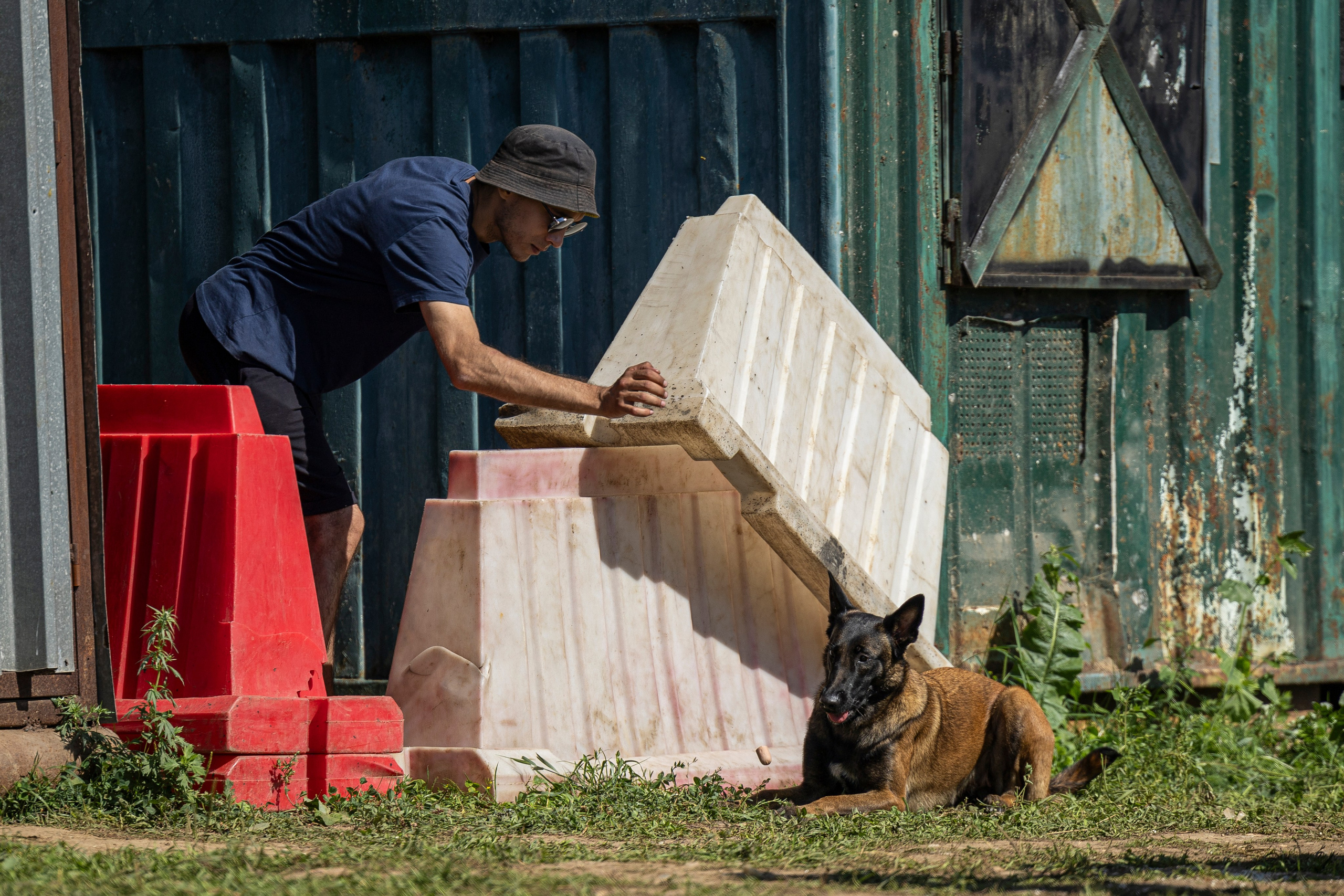 Соревнования по Мондьорингу г. Вологда 10-11.08.2024. Фотограф-анималист Анна Маринич