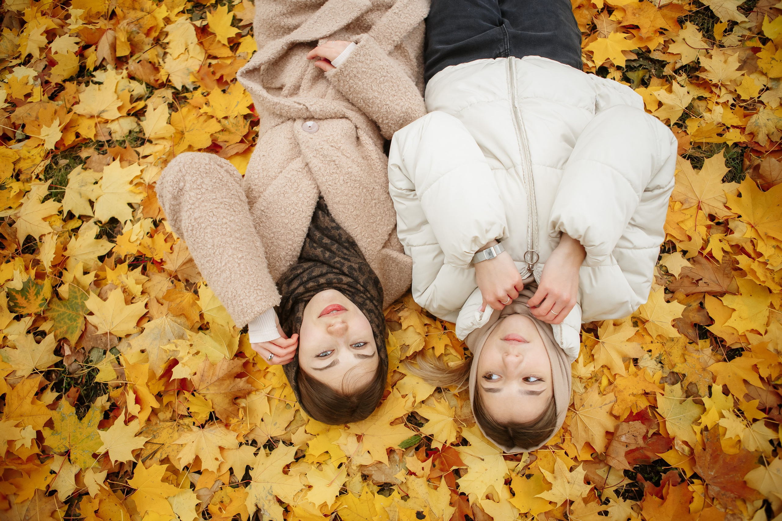 Осень Гимназия 12 11 В 2023 г. Свадебный и портретный Фотограф в Липецке Дмитрий Котюков
