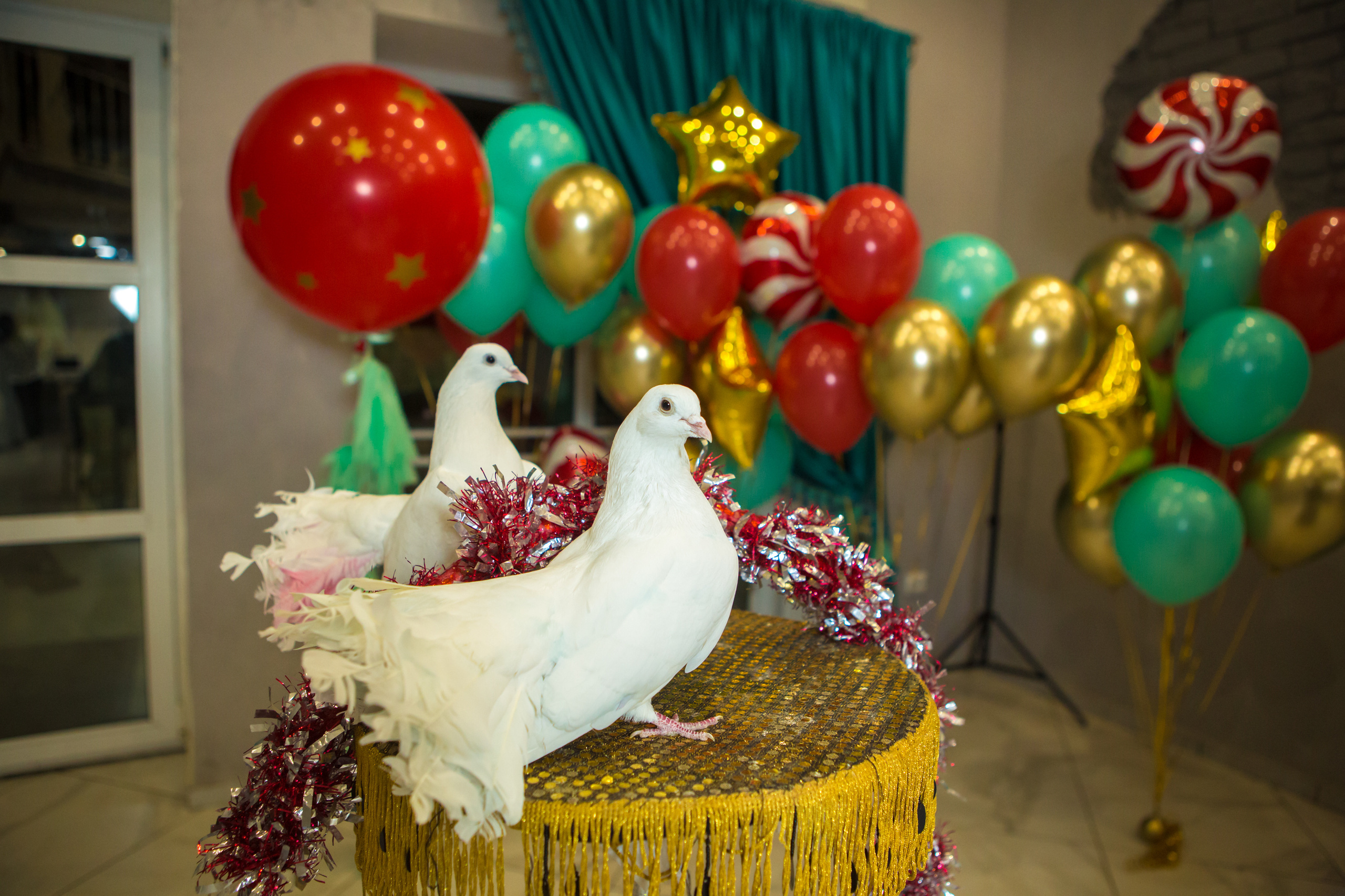 Фотограф оренбург. Фотограф в Оренбурге. Профессиональный фотограф