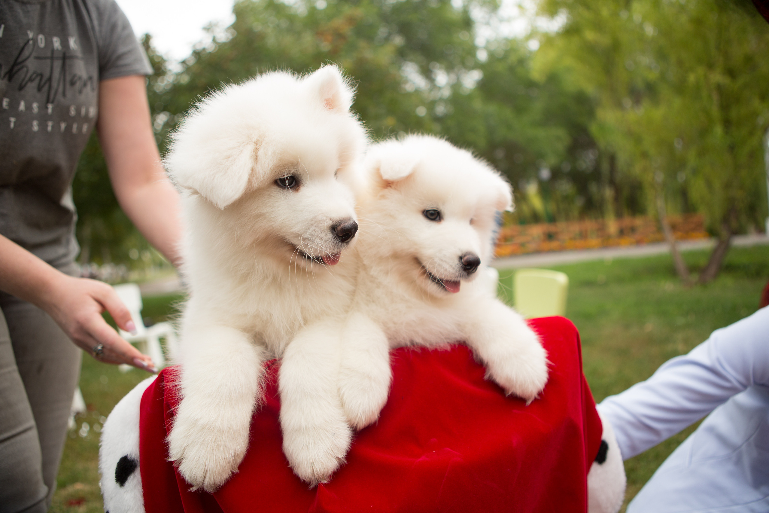 День Рождения Маруси. Фотограф в Оренбурге. Профессиональный фотограф