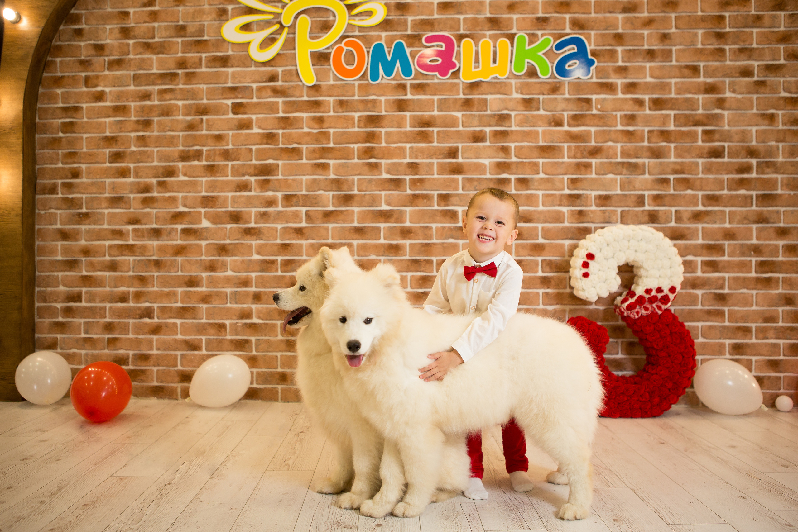 День Рождения Тимофея. Фотограф в Оренбурге. Профессиональный фотограф