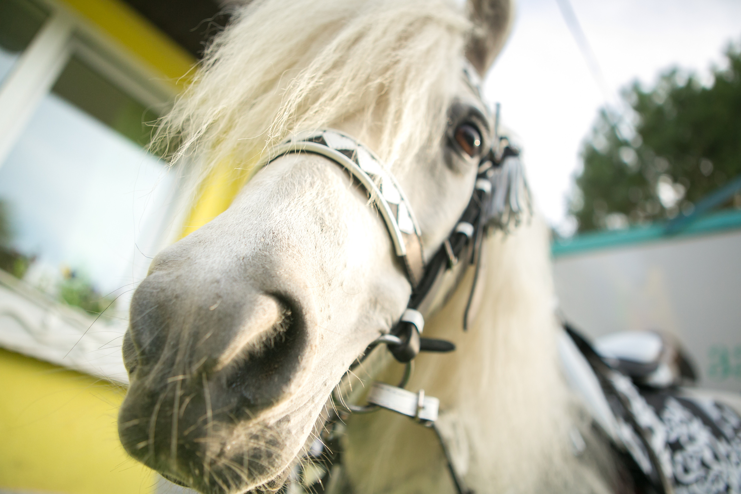 День Рождения Ромы. Фотограф в Оренбурге. Профессиональный фотограф