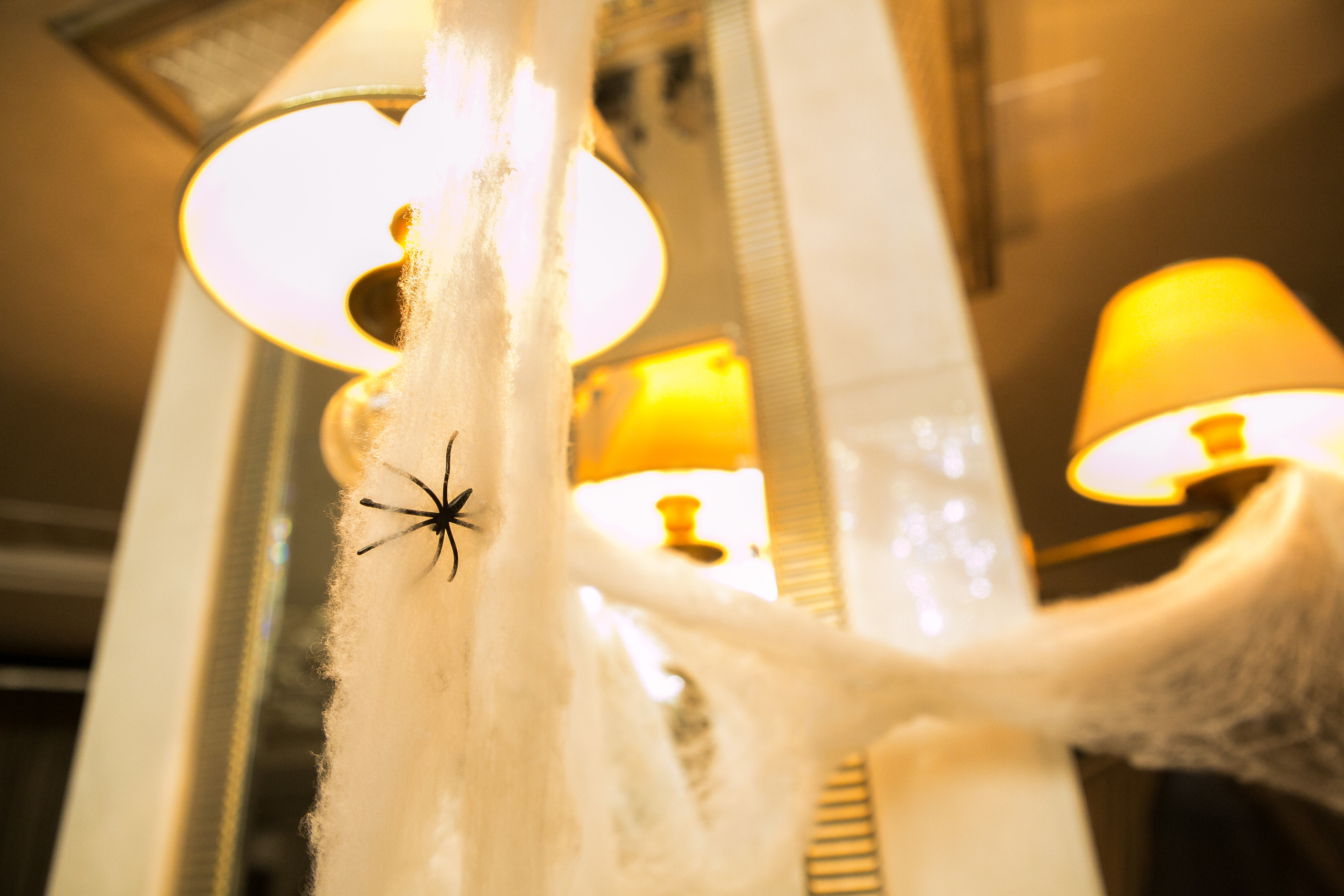 Вечеринка в стиле halloween. Фотограф в Оренбурге. Профессиональный фотограф