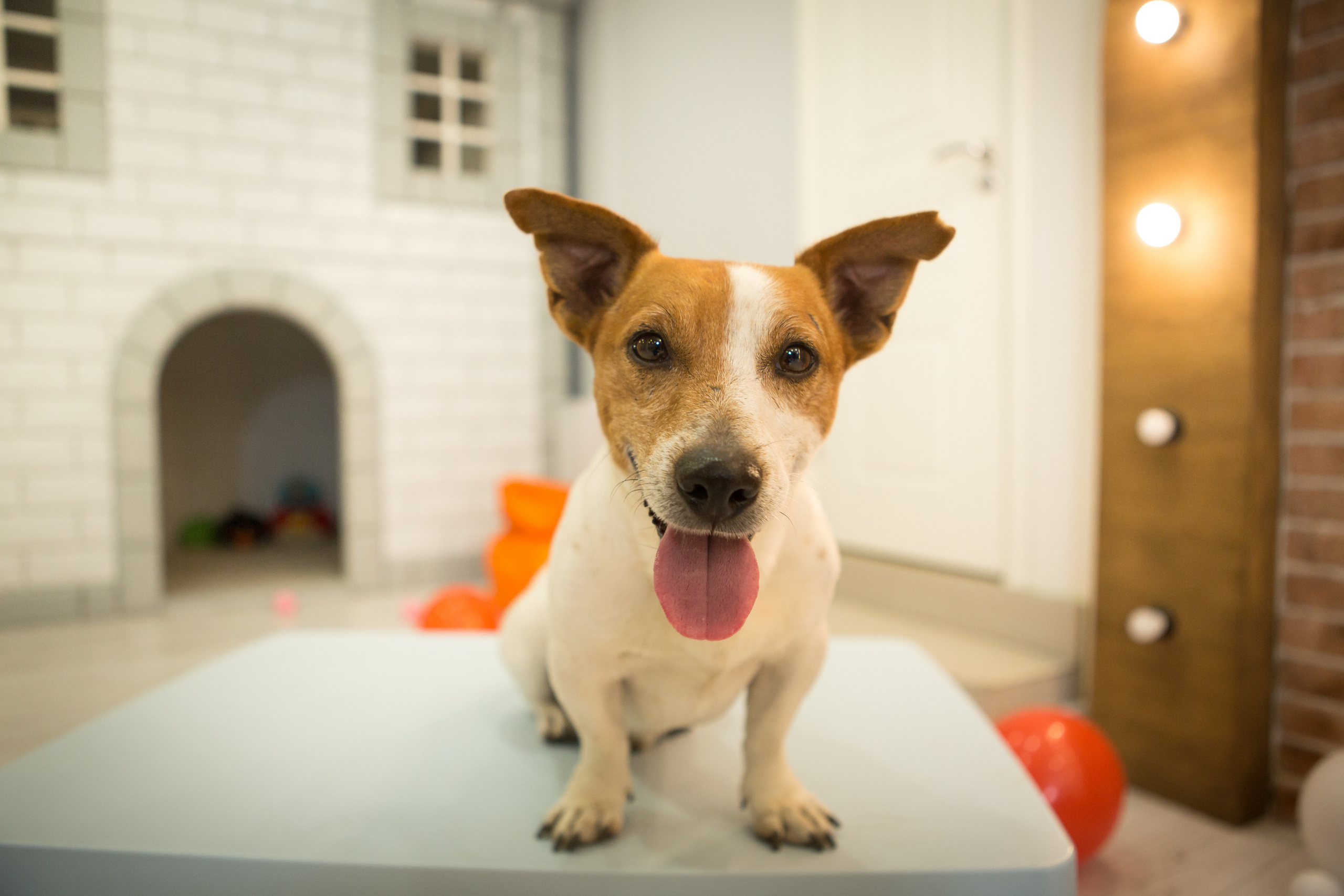 День Рождения Тимофея. Фотограф в Оренбурге. Профессиональный фотограф