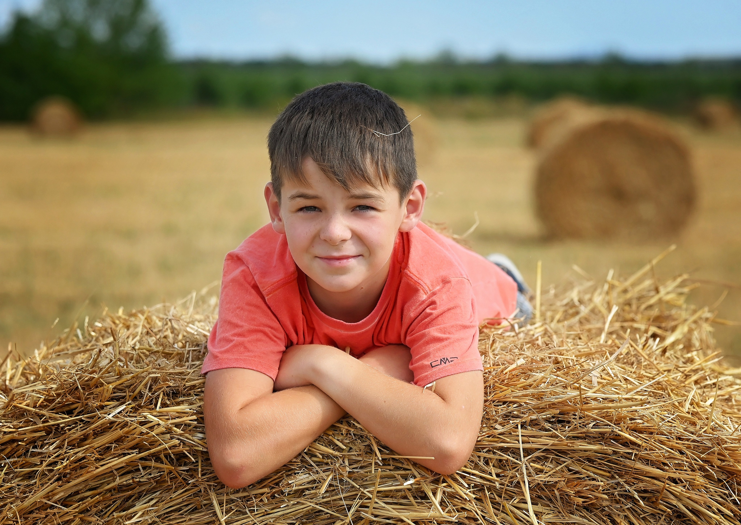 Сено. Главная