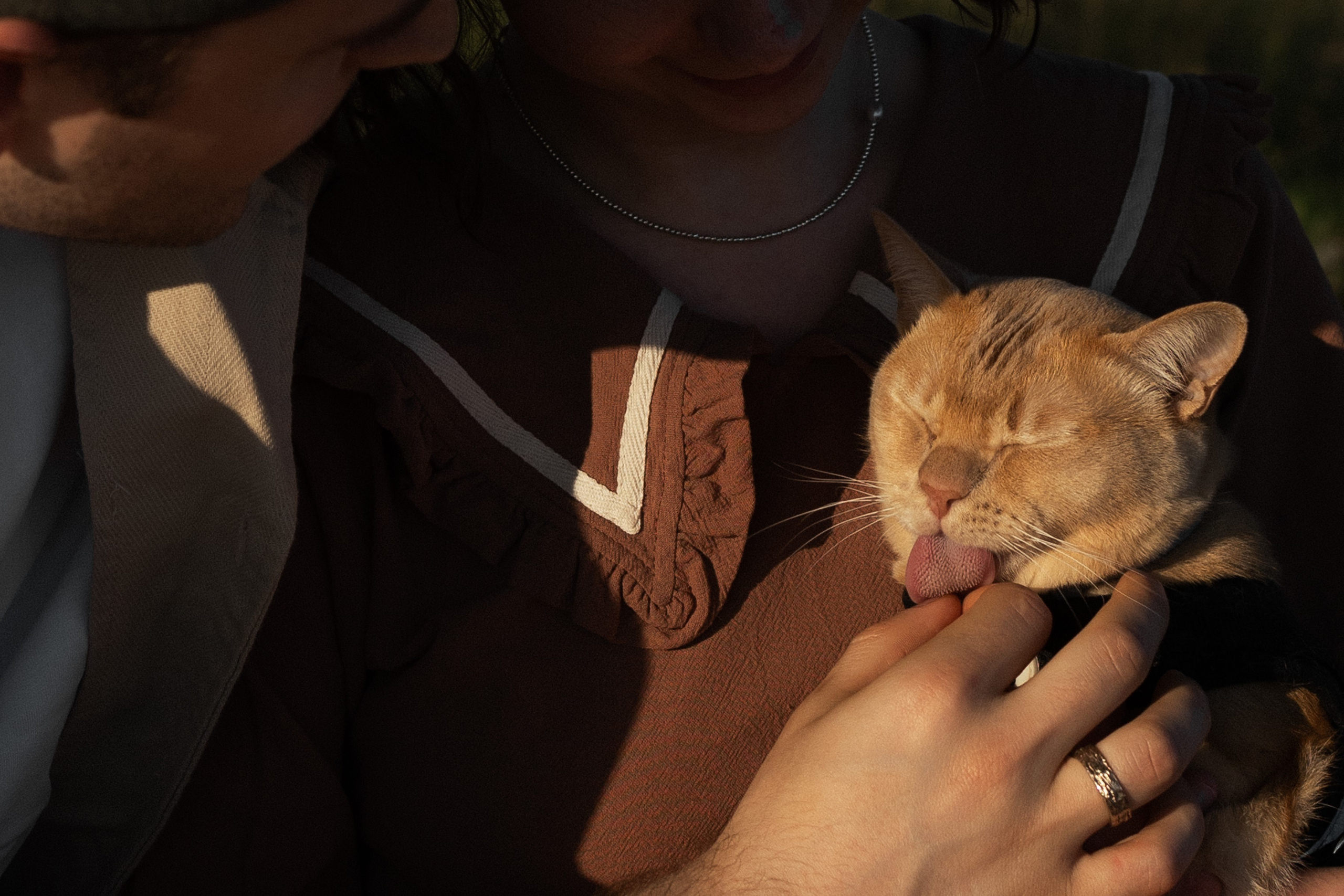 Лето. Поле. Любовь. Портретный фотограф СПб, женский фотограф, минимализм и эстетика