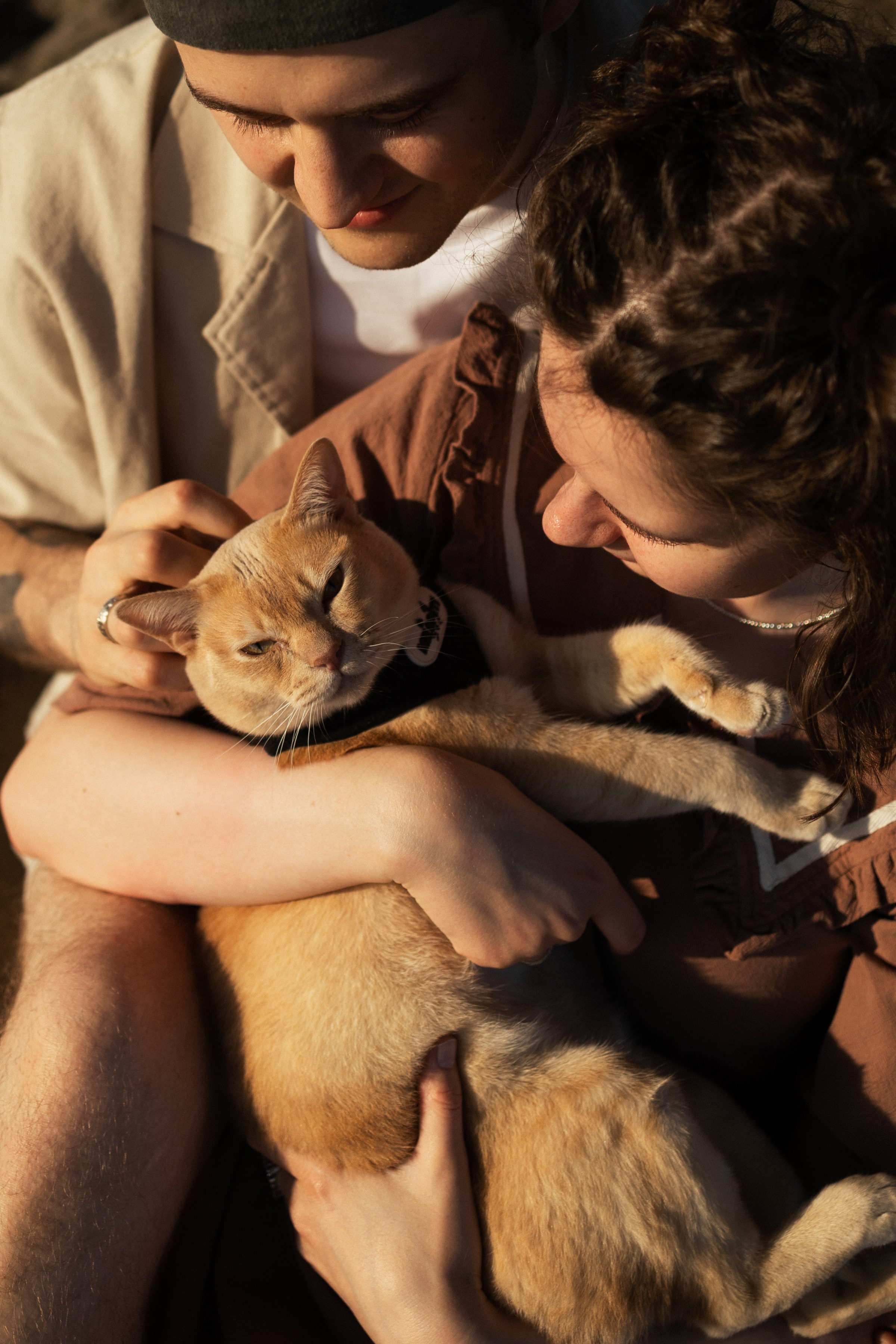 Лето. Поле. Любовь. Портретный фотограф СПб, женский фотограф, минимализм и эстетика