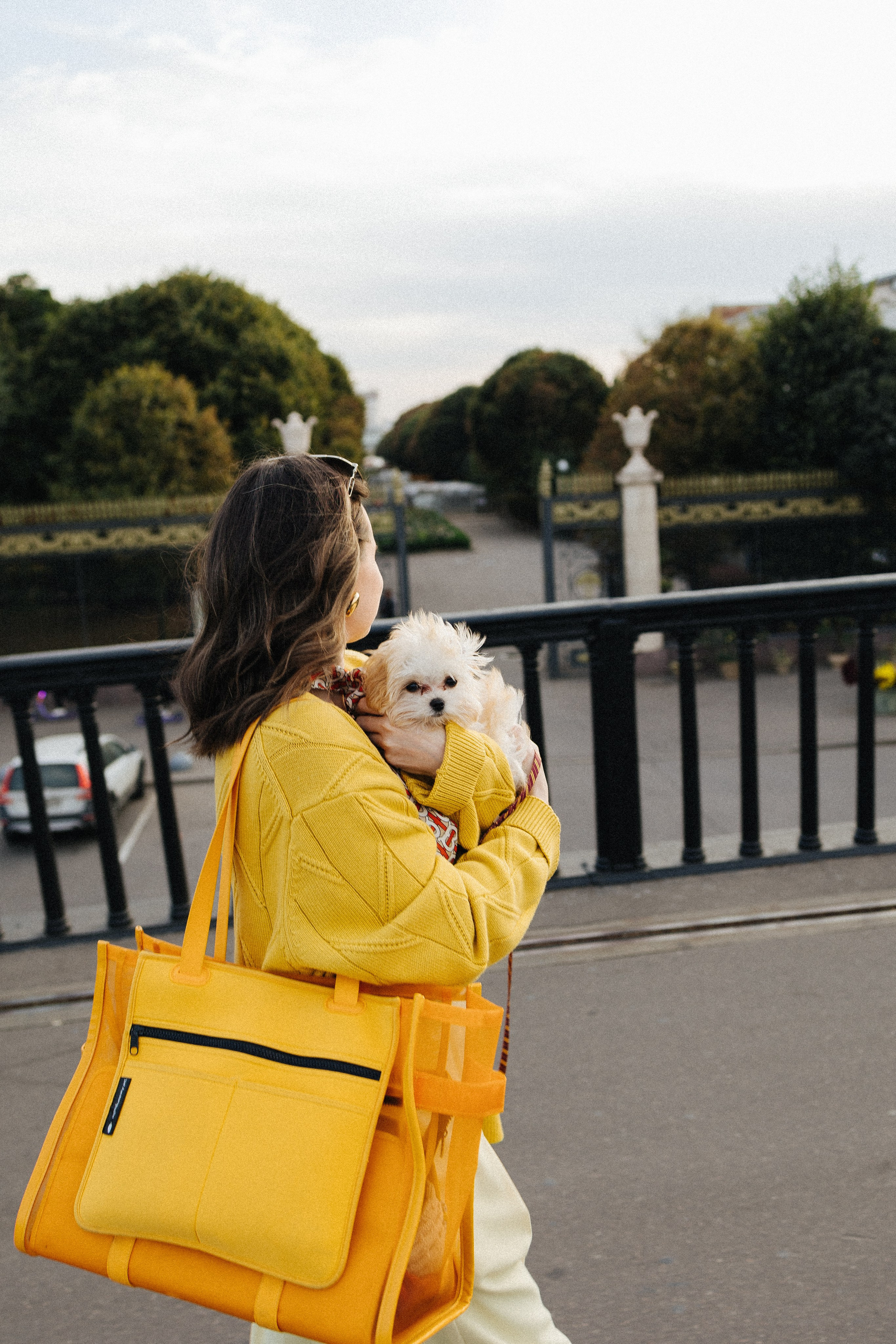 Оля и Бри. Фотораф — анималист Мария Шистка