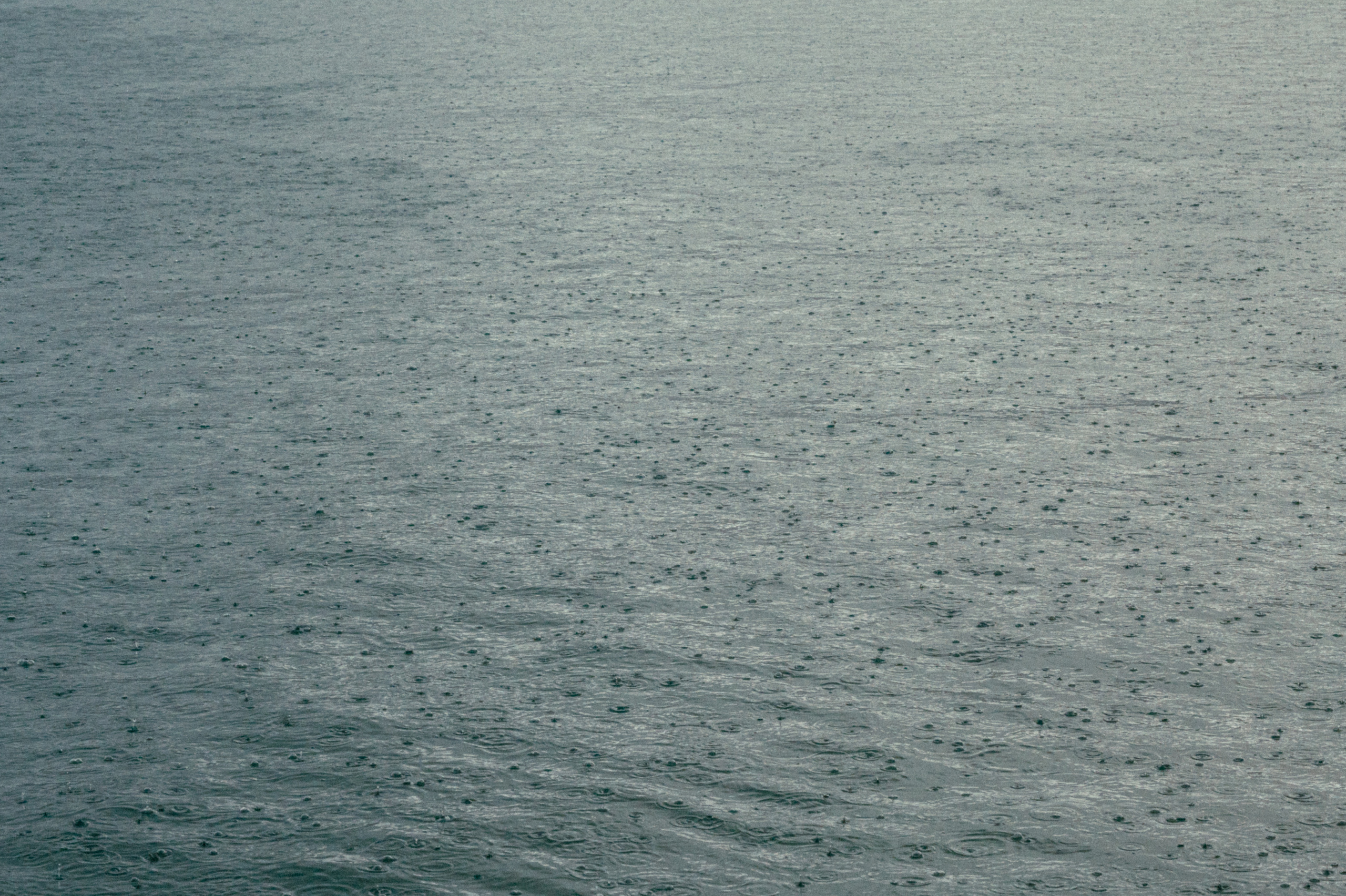 2023 Черногория. Открытки. Свадебный фотограф Абрамова Ксения