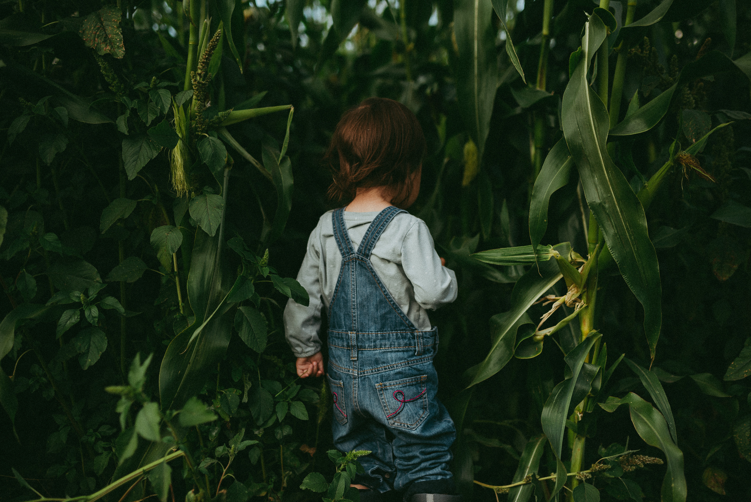 Кукурузка. Семейный и детский фотограф в Новосибирске и Краснообске — Анна Ким