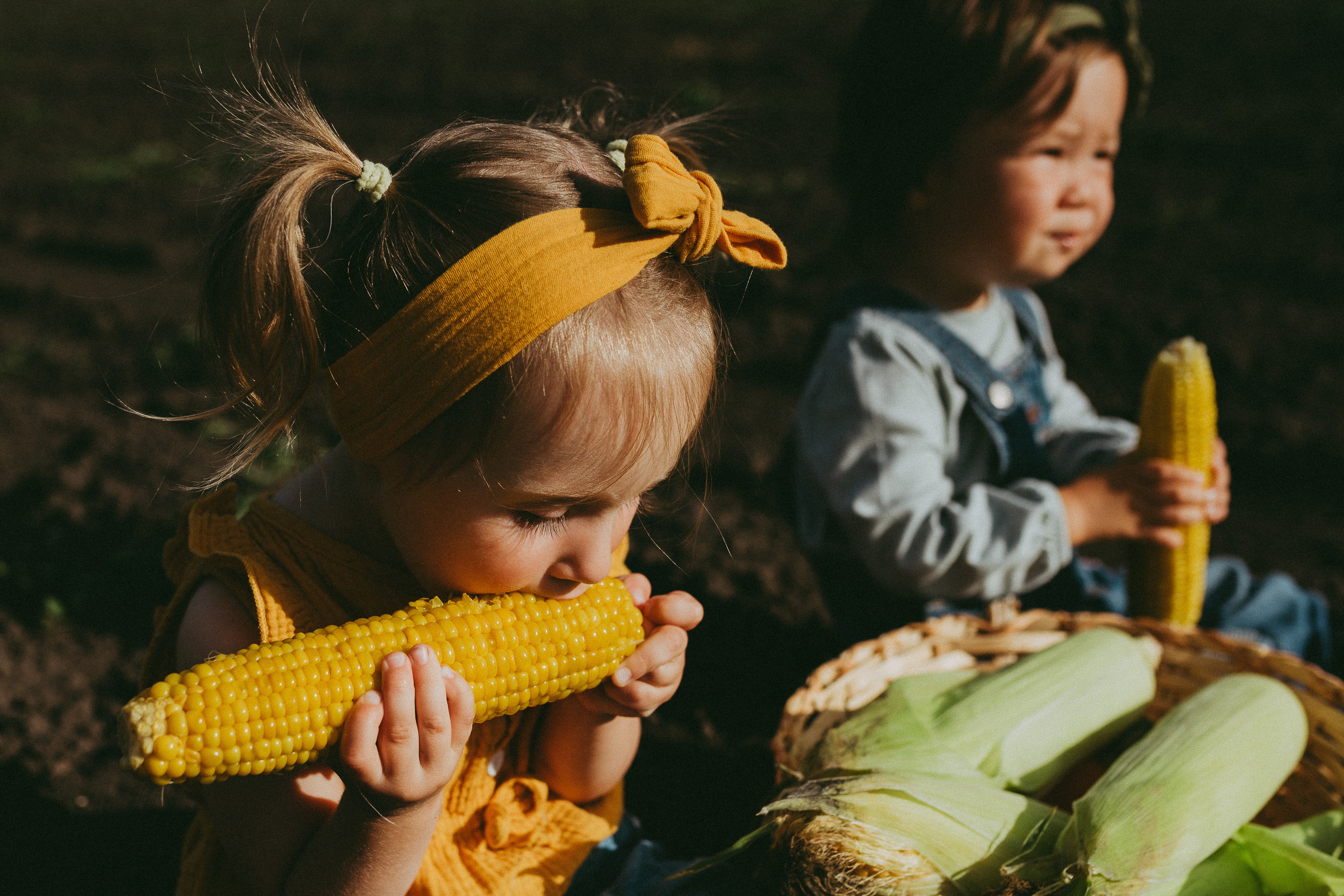 Кукурузка. Семейный и детский фотограф в Новосибирске и Краснообске — Анна Ким