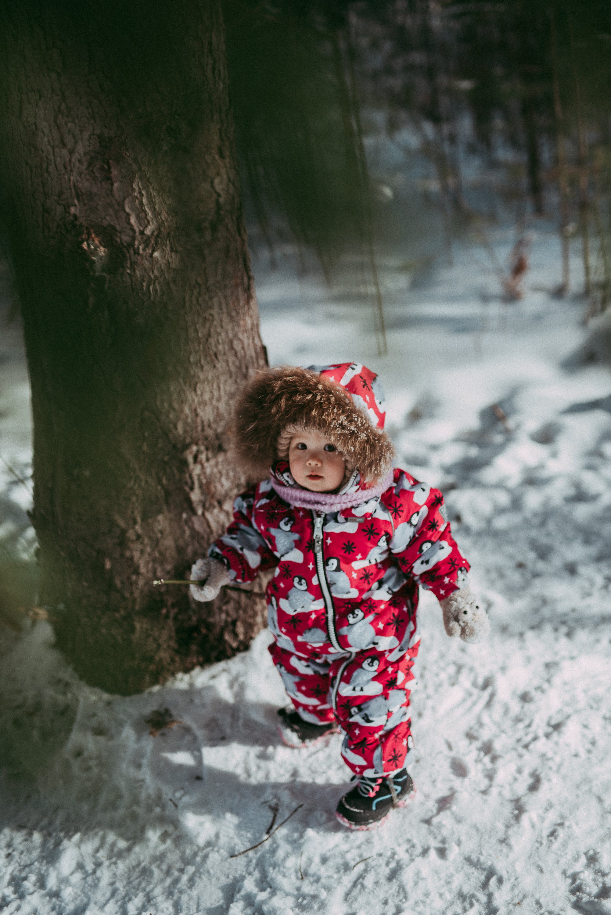 Зимняя сказка. Семейный и детский фотограф в Новосибирске и Краснообске — Анна Ким