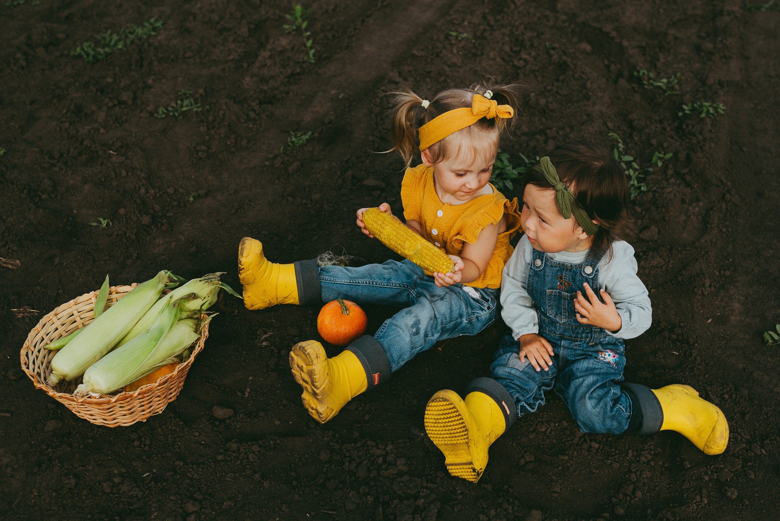 Кукурузка. Семейный и детский фотограф в Новосибирске и Краснообске — Анна Ким