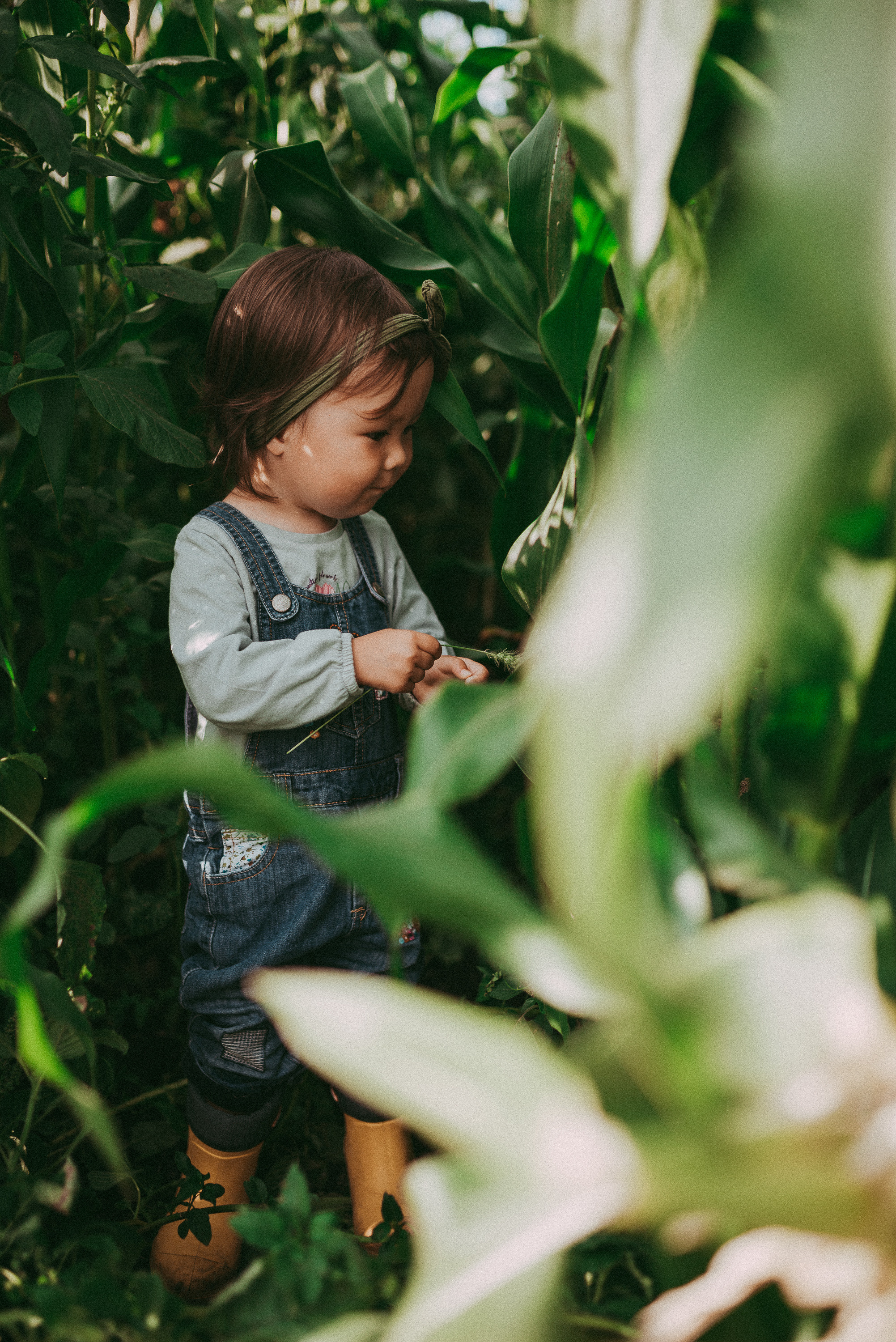 Кукурузка. Семейный и детский фотограф в Новосибирске и Краснообске — Анна Ким