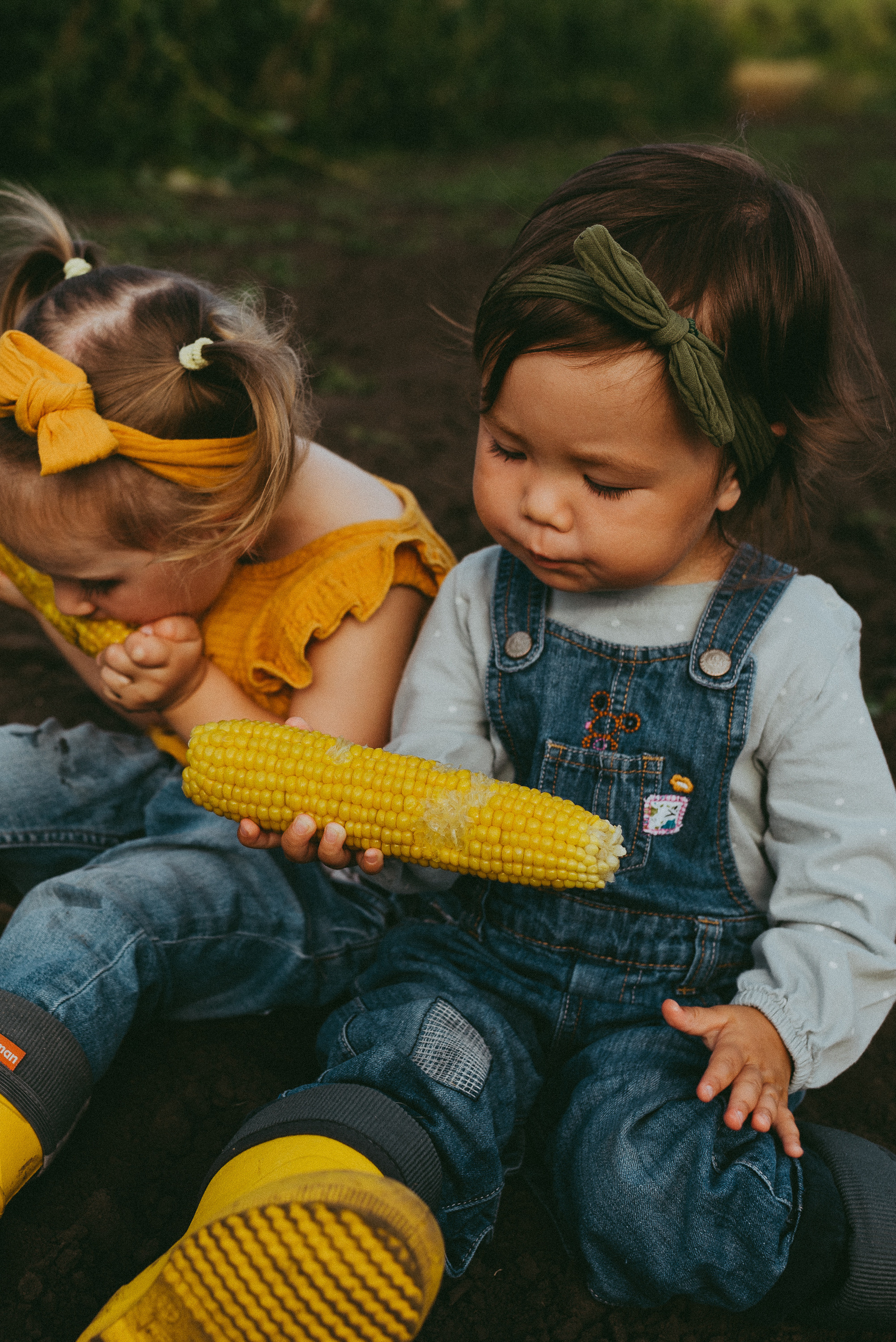 Кукурузка. Семейный и детский фотограф в Новосибирске и Краснообске — Анна Ким