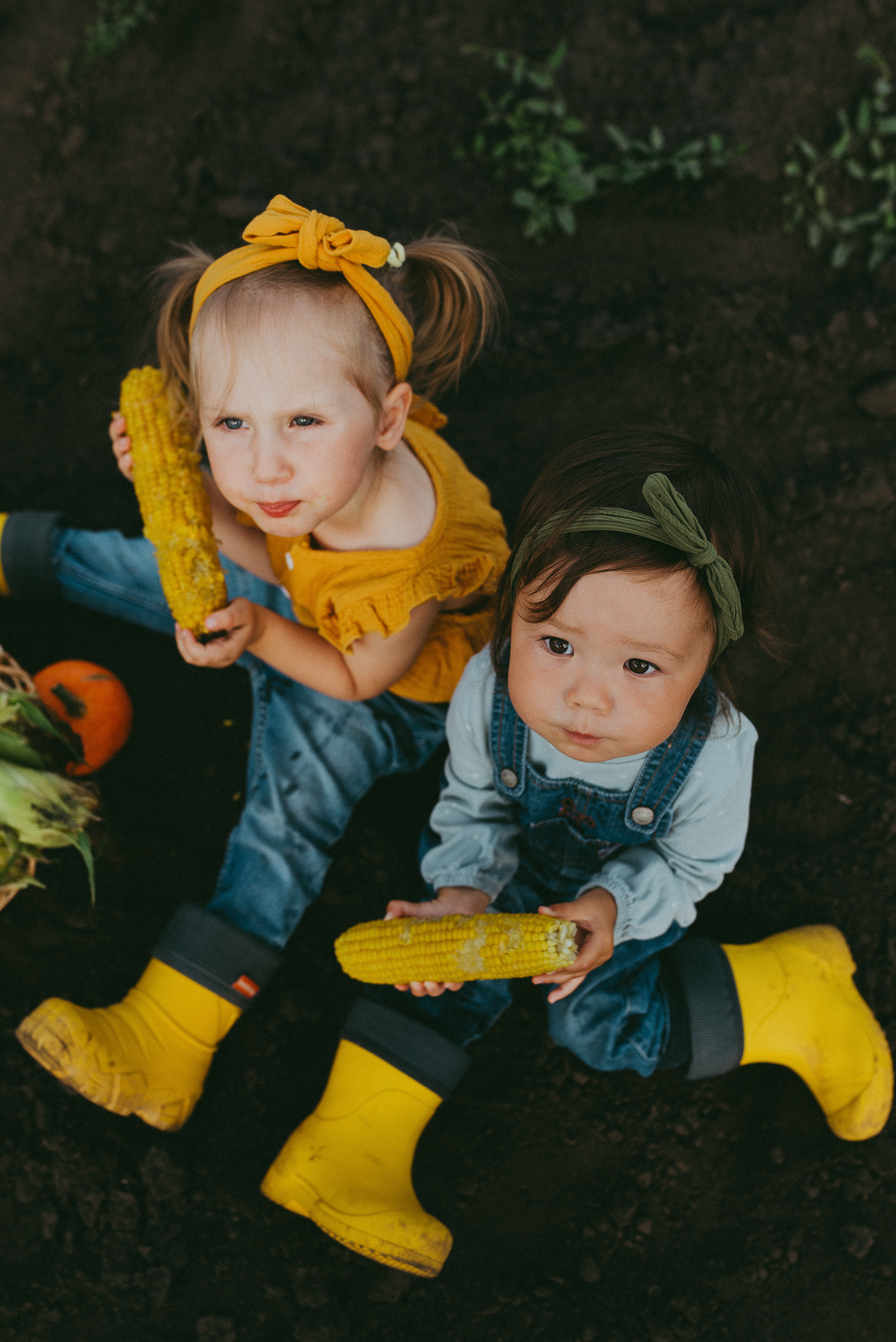 Кукурузка. Семейный и детский фотограф в Новосибирске и Краснообске — Анна Ким