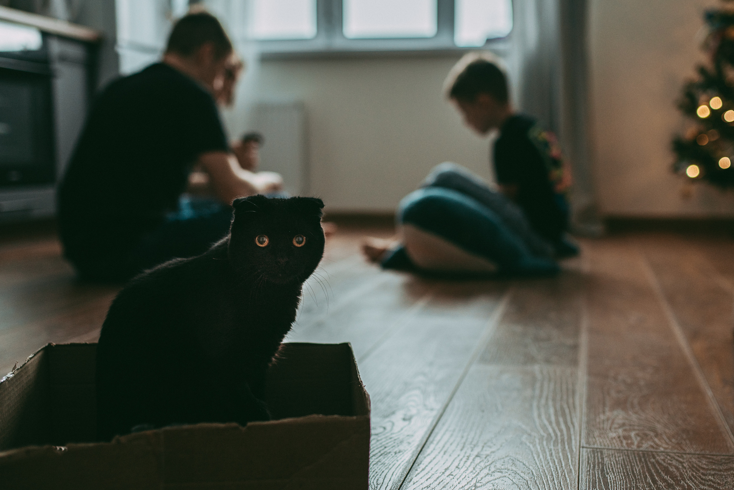 Настя, Андрей и Ярик. Семейный и детский фотограф в Новосибирске и Краснообске — Анна Ким