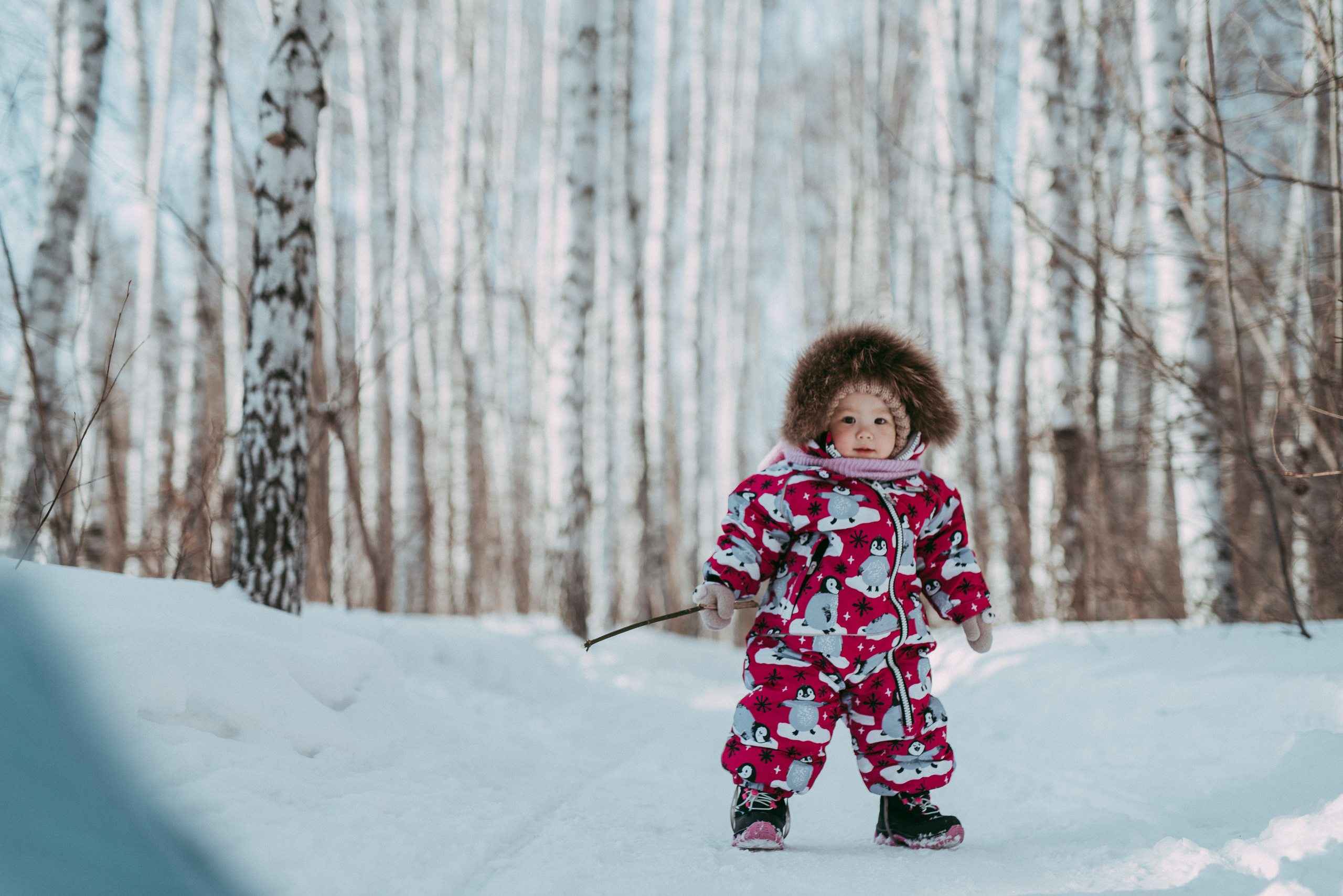 Зимняя сказка. Семейный и детский фотограф в Новосибирске и Краснообске — Анна Ким