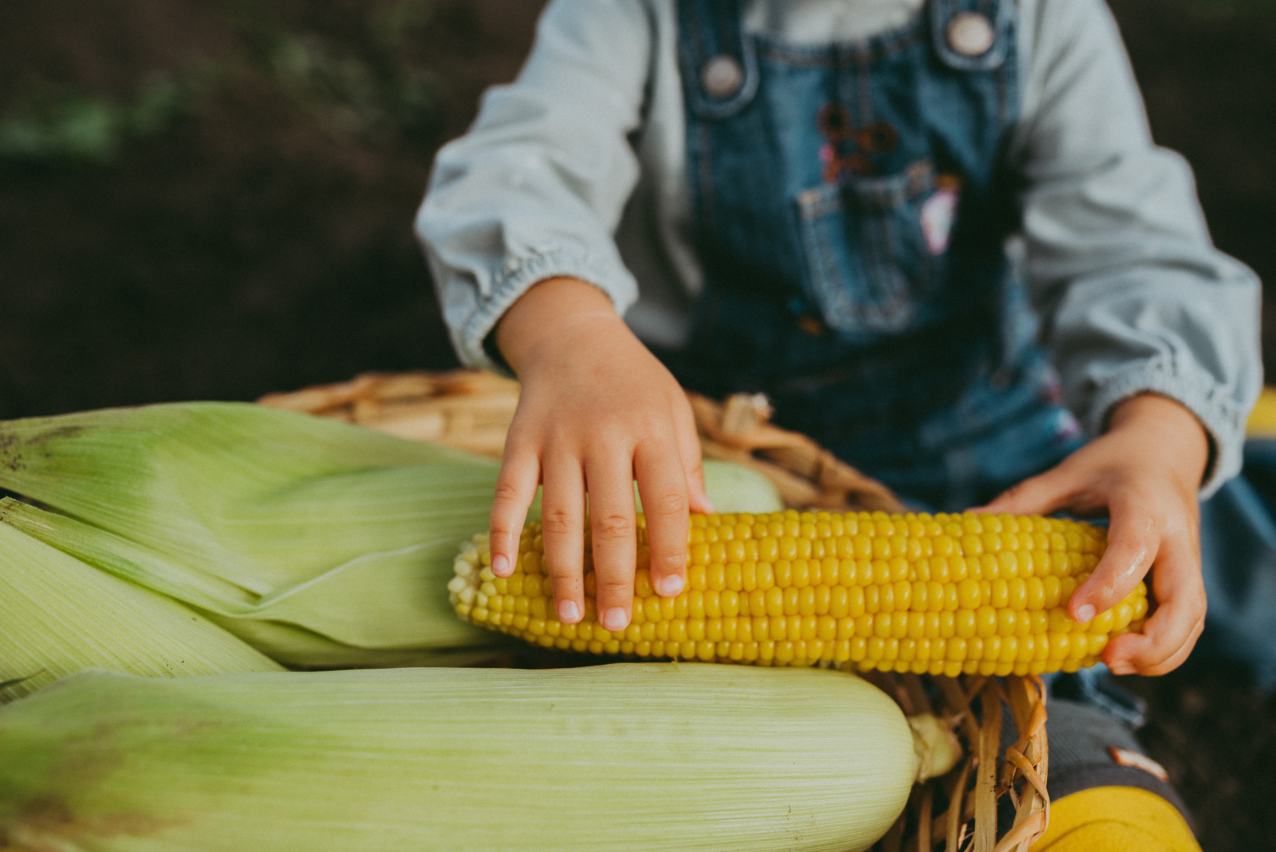 Кукурузка. Семейный и детский фотограф в Новосибирске и Краснообске — Анна Ким