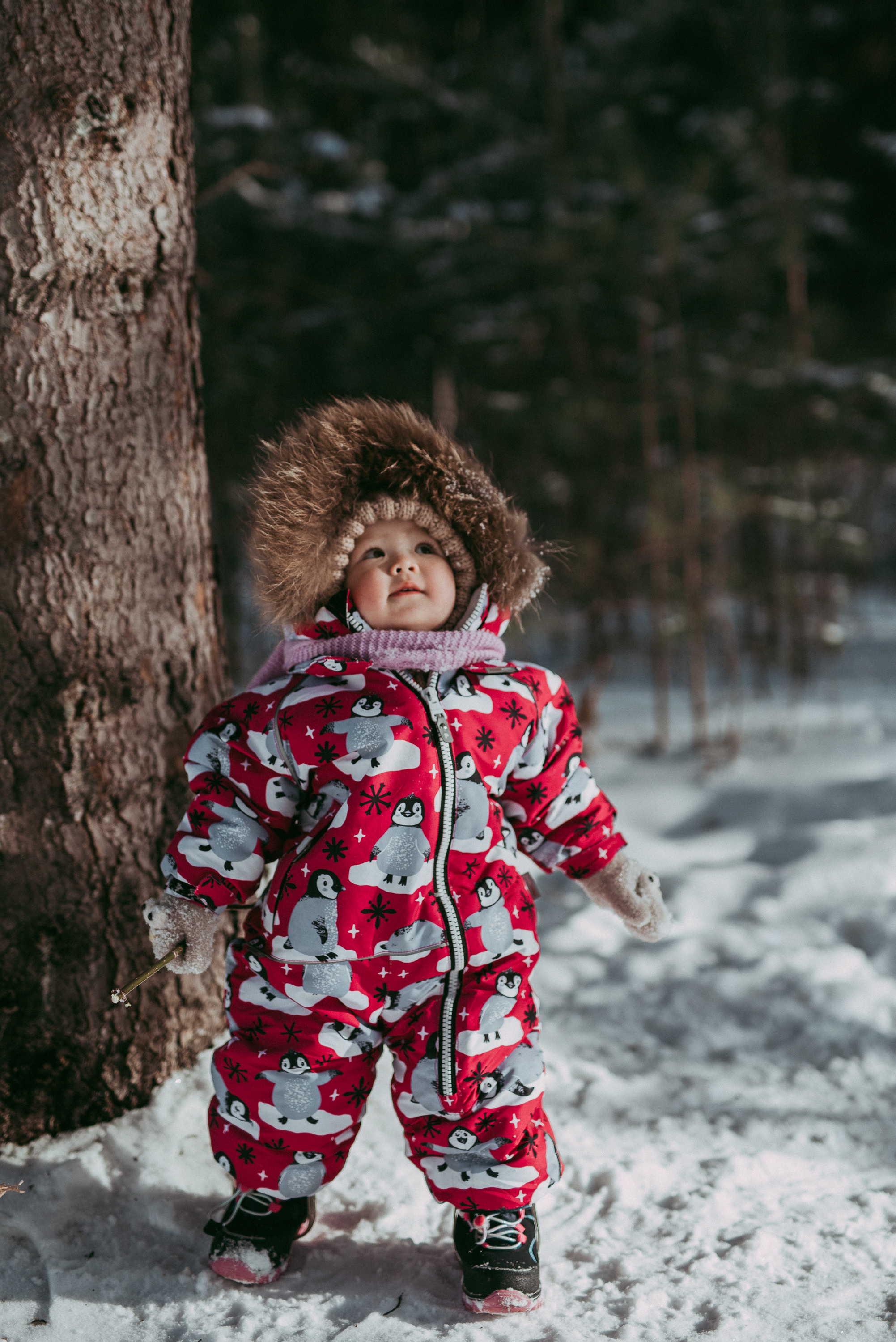 Зимняя сказка. Семейный и детский фотограф в Новосибирске и Краснообске — Анна Ким