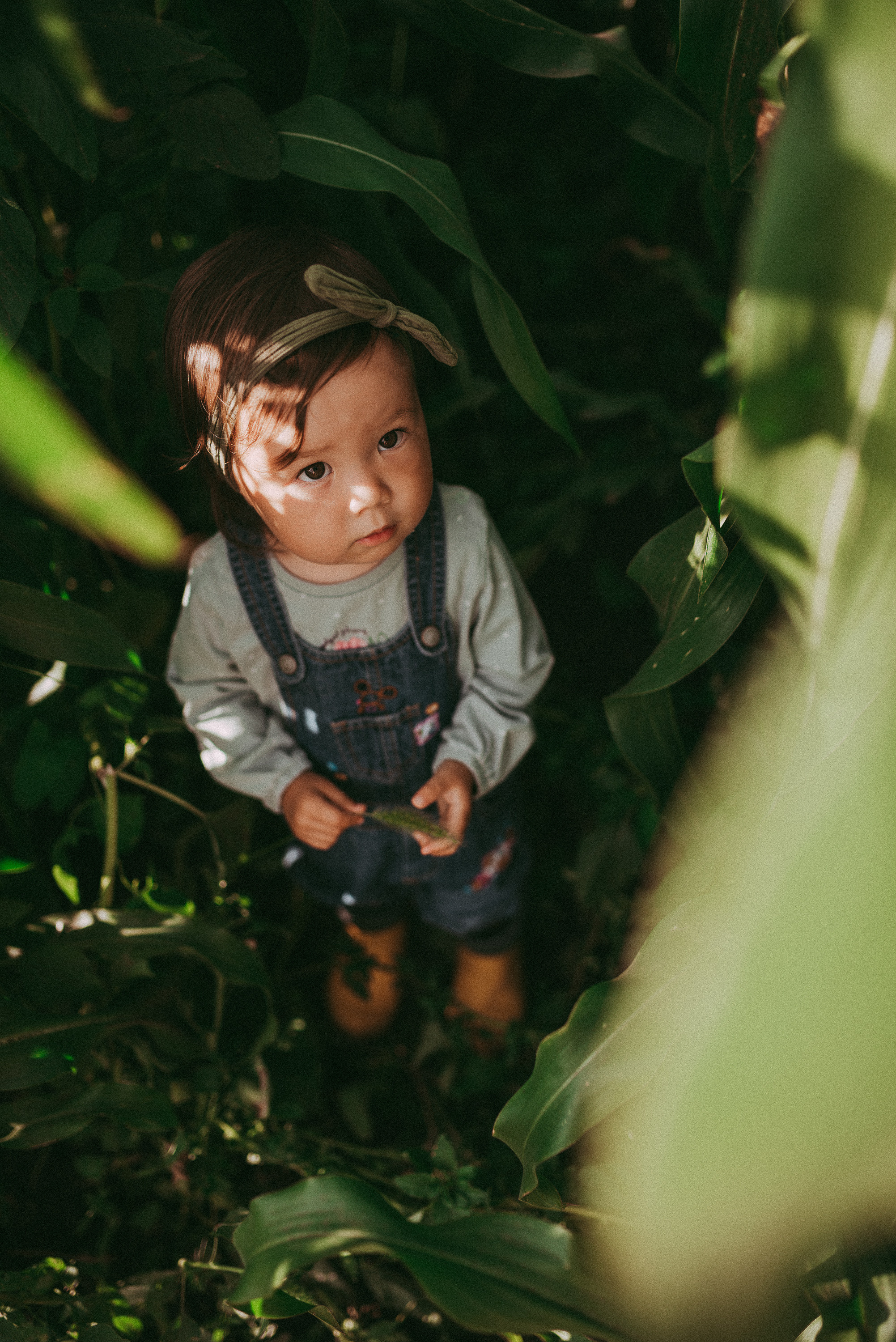 Кукурузка. Семейный и детский фотограф в Новосибирске и Краснообске — Анна Ким